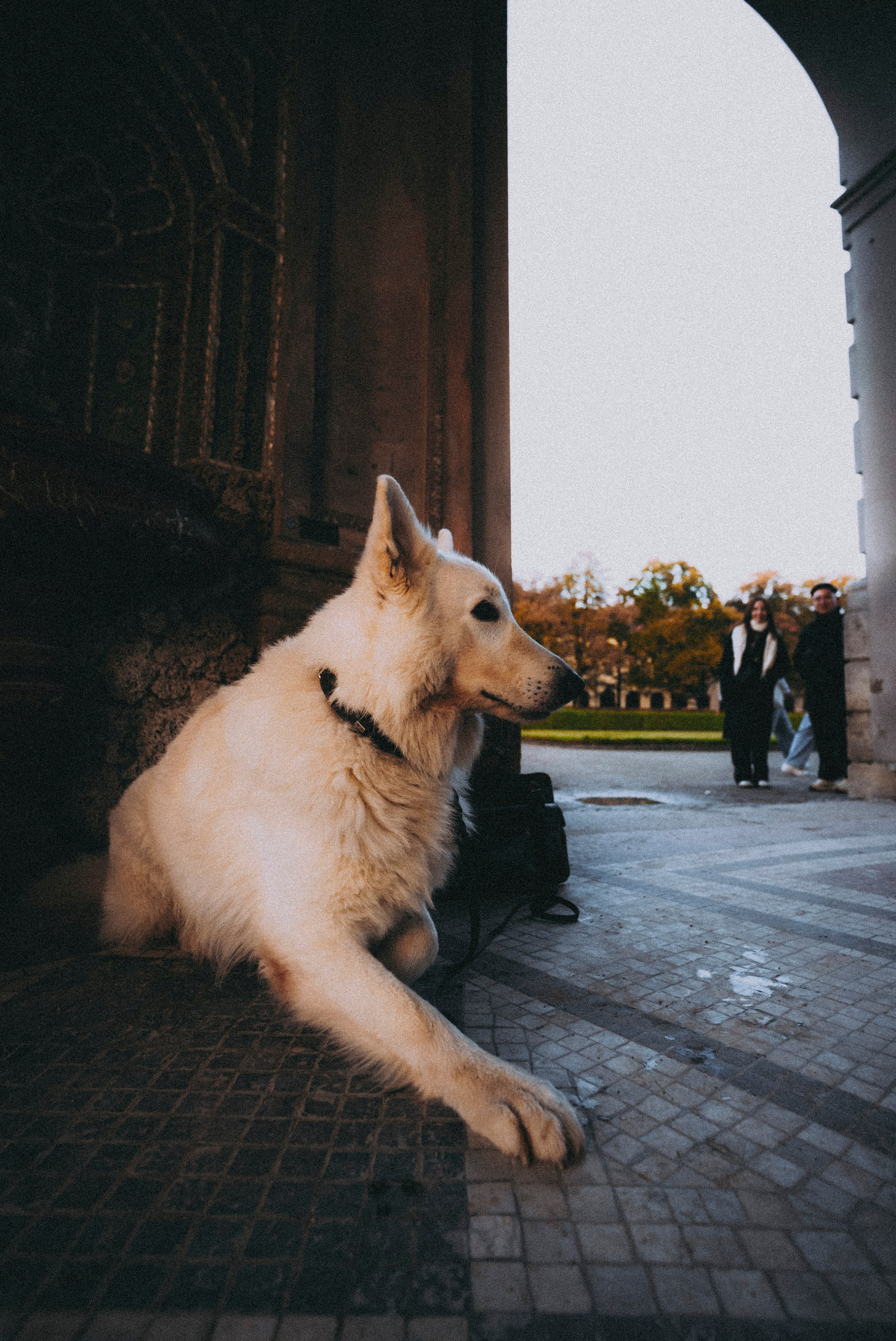 ЕВРОТУР. Стрит-фотография, полная абсурда, идиотизма и красоты