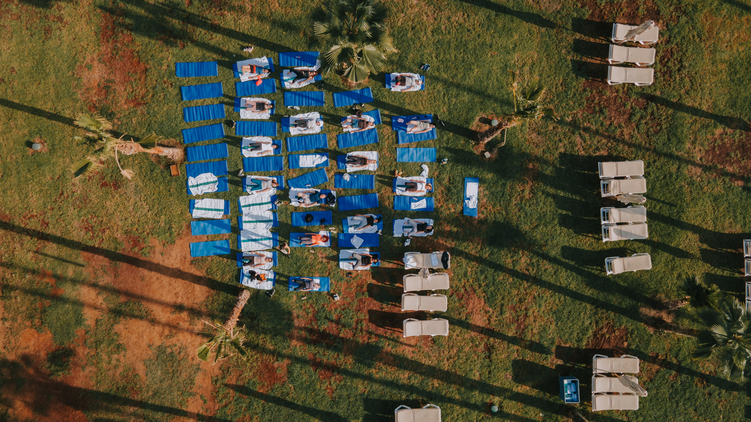 Pfizer. AMIR BUCHNIK PHOTOGRAPHER