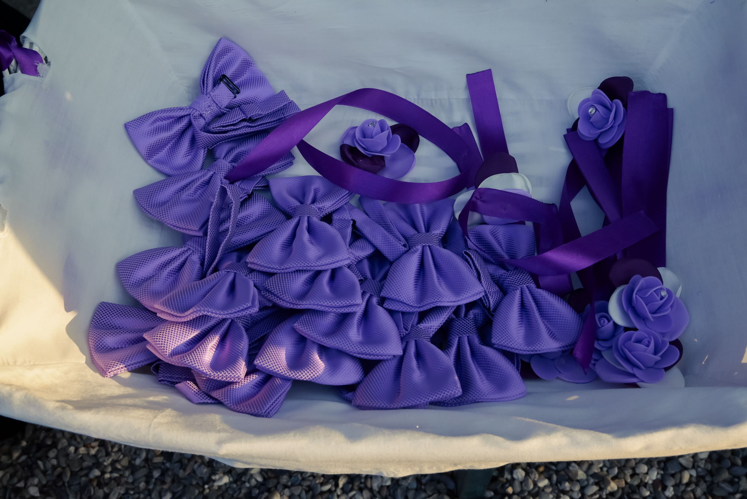 Francesca_la festa dei 18 anni_ 1parte