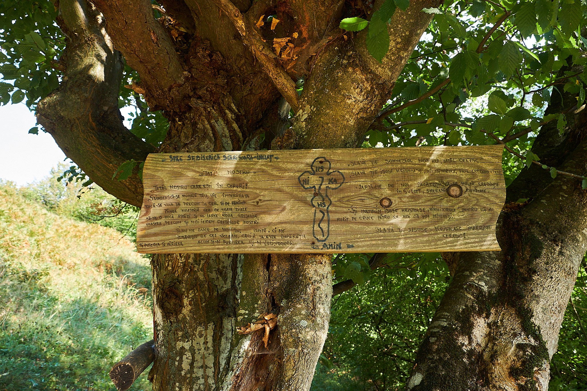 Ineleț, jud. Caraș-Severin. Pagina principală