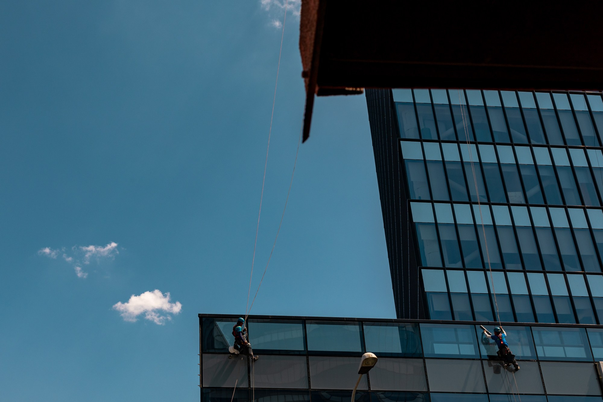 The Grid. A Creative Insight | Catalin Nastase