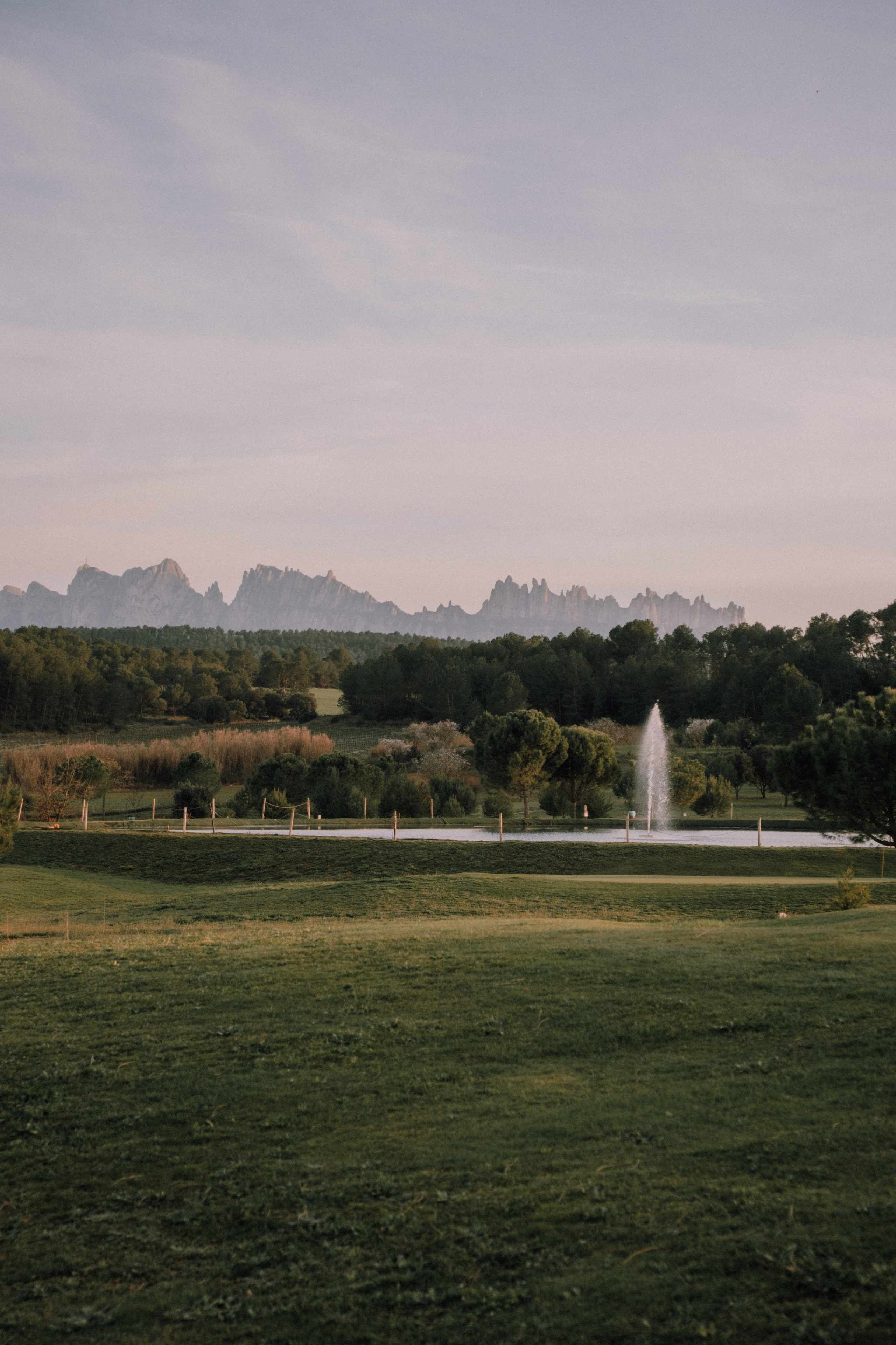 Sesión familiar en el bosque. Fotografía profesional en Calafell - Elena Medvedeva