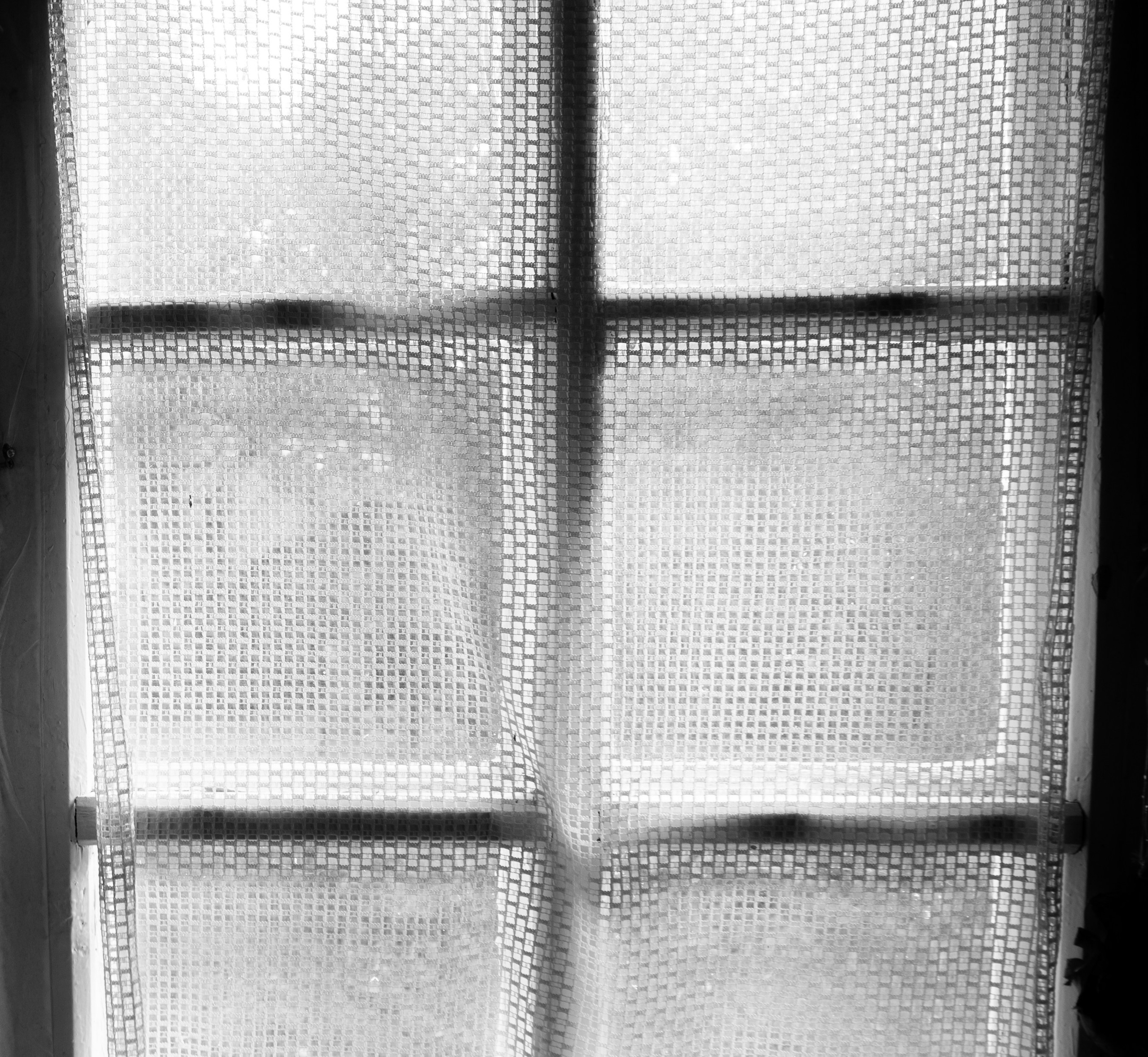 What the Body Remembers