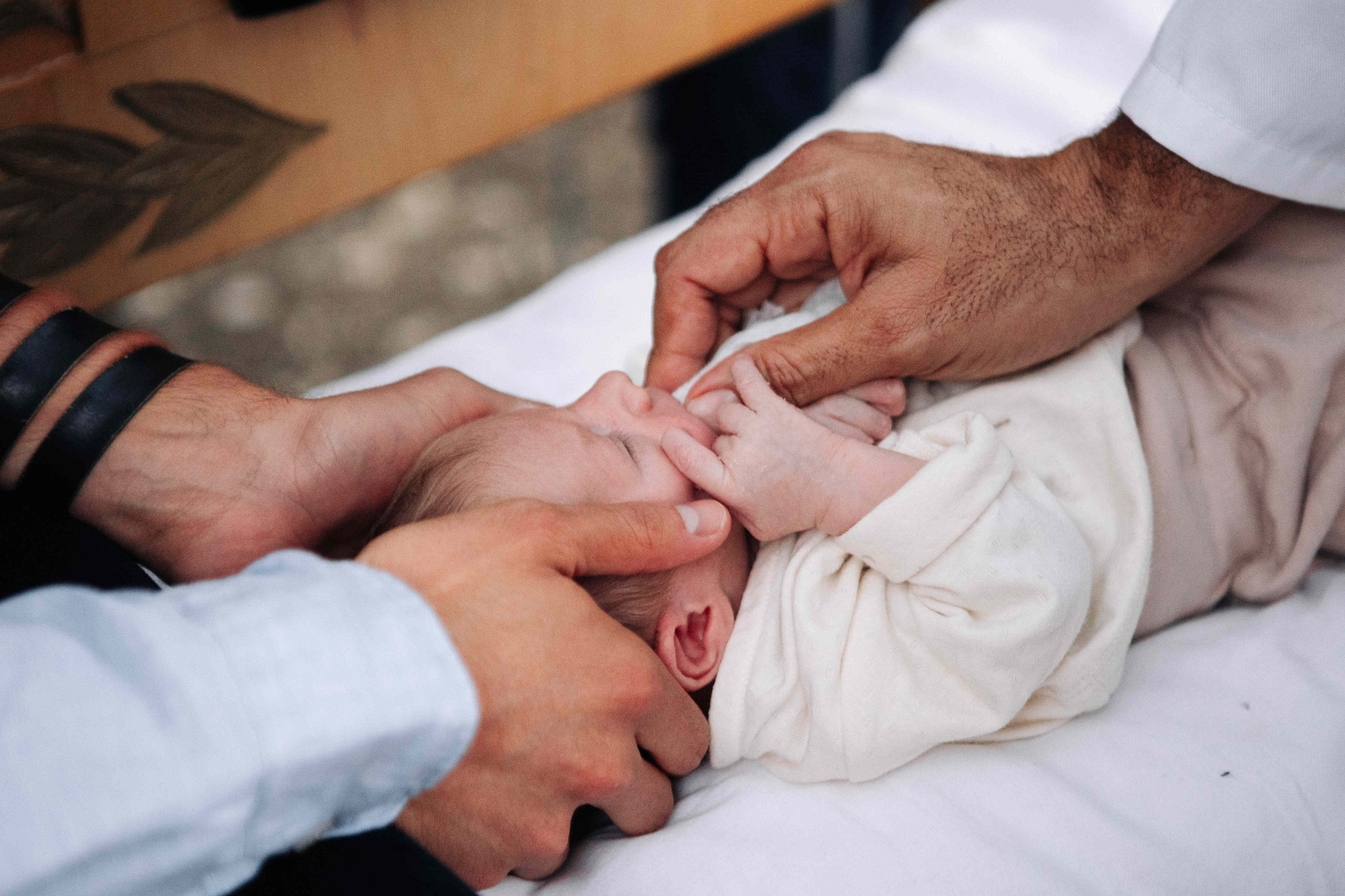 BRIT MILA IN NATURE IN JERUSALEM. Https://shi-photo.com/