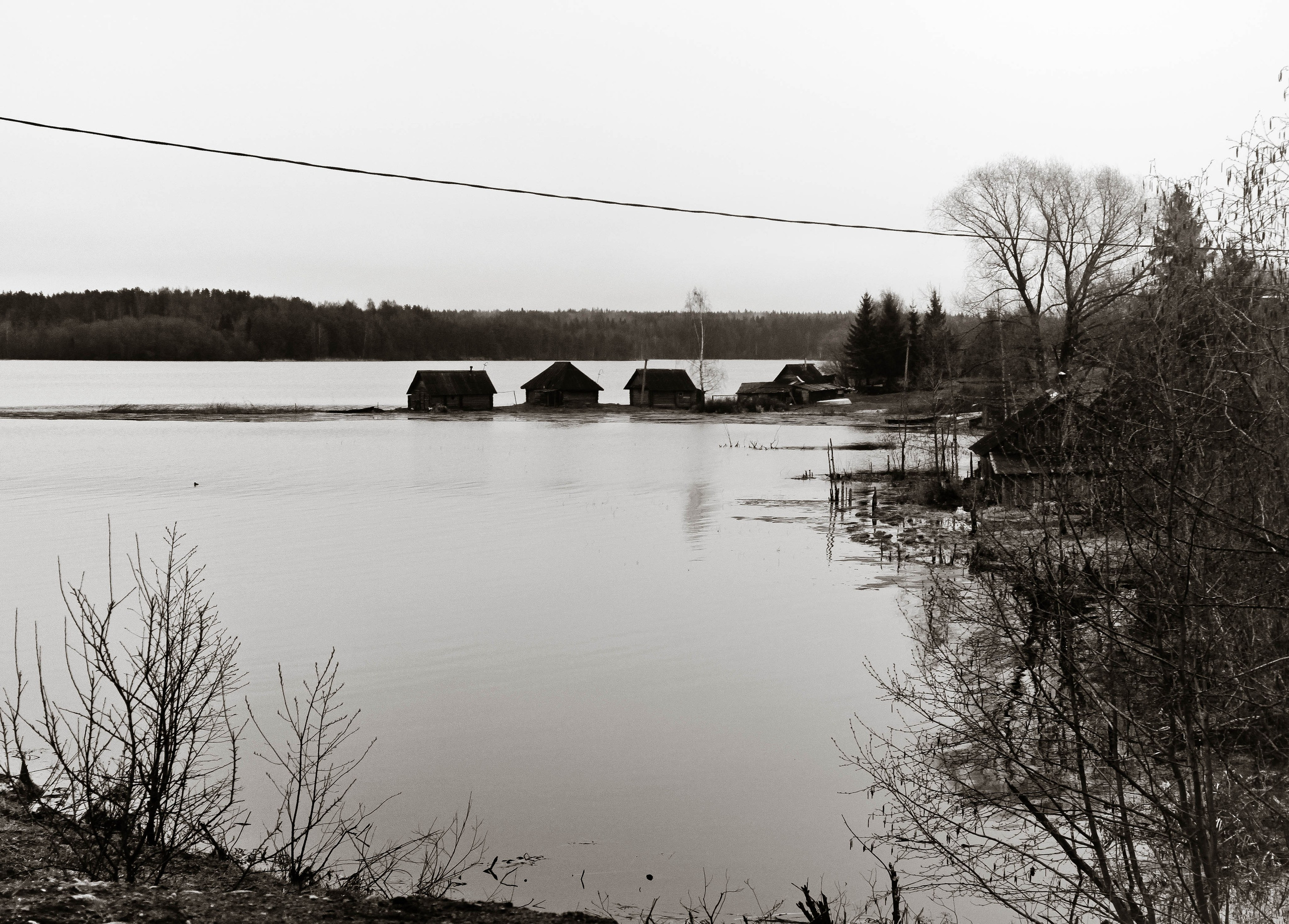 2011. Стрит-фотография, полная абсурда, идиотизма и красоты