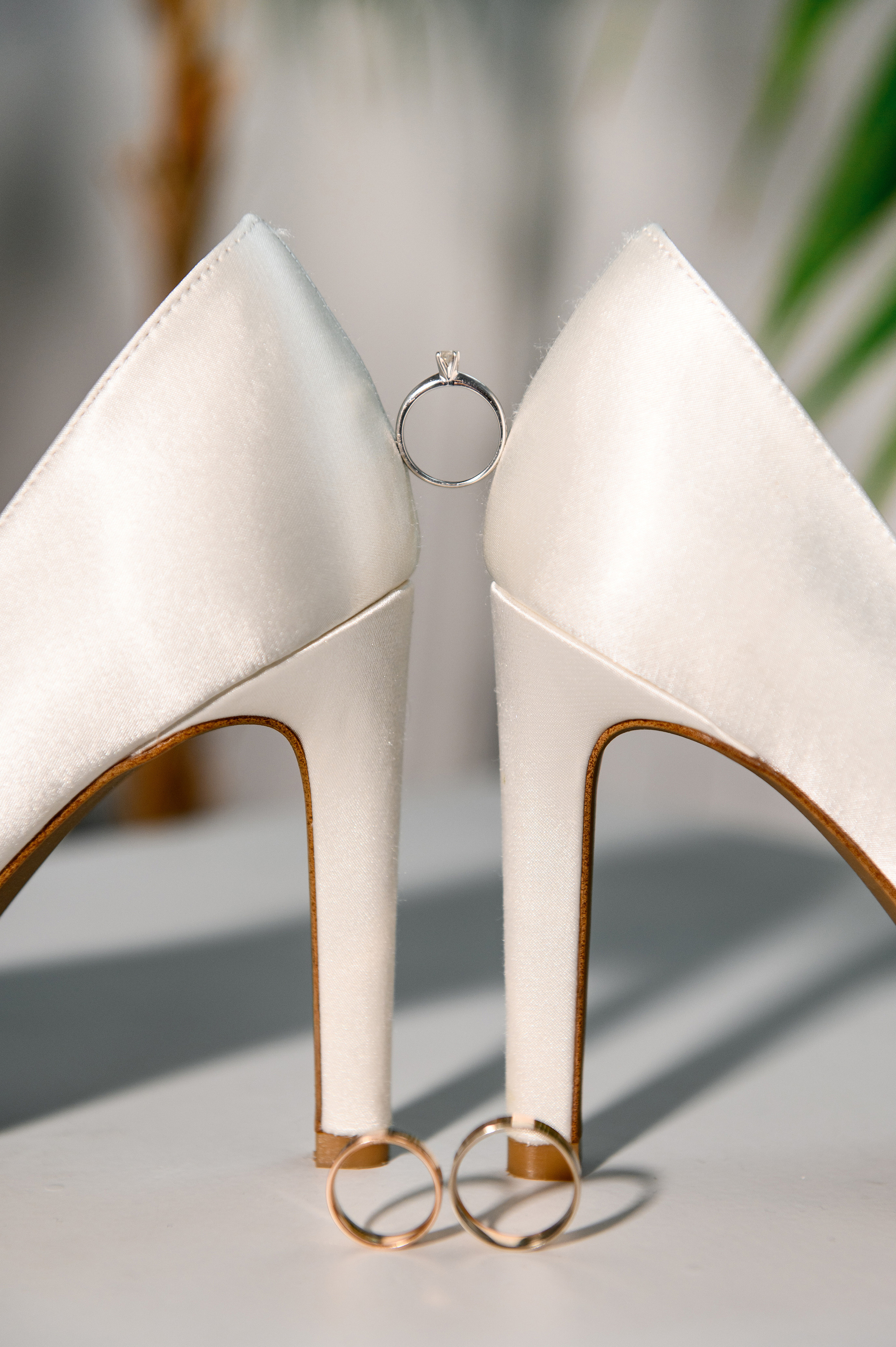 Tatiana & Alexei. Fotograf de familie și evenimente