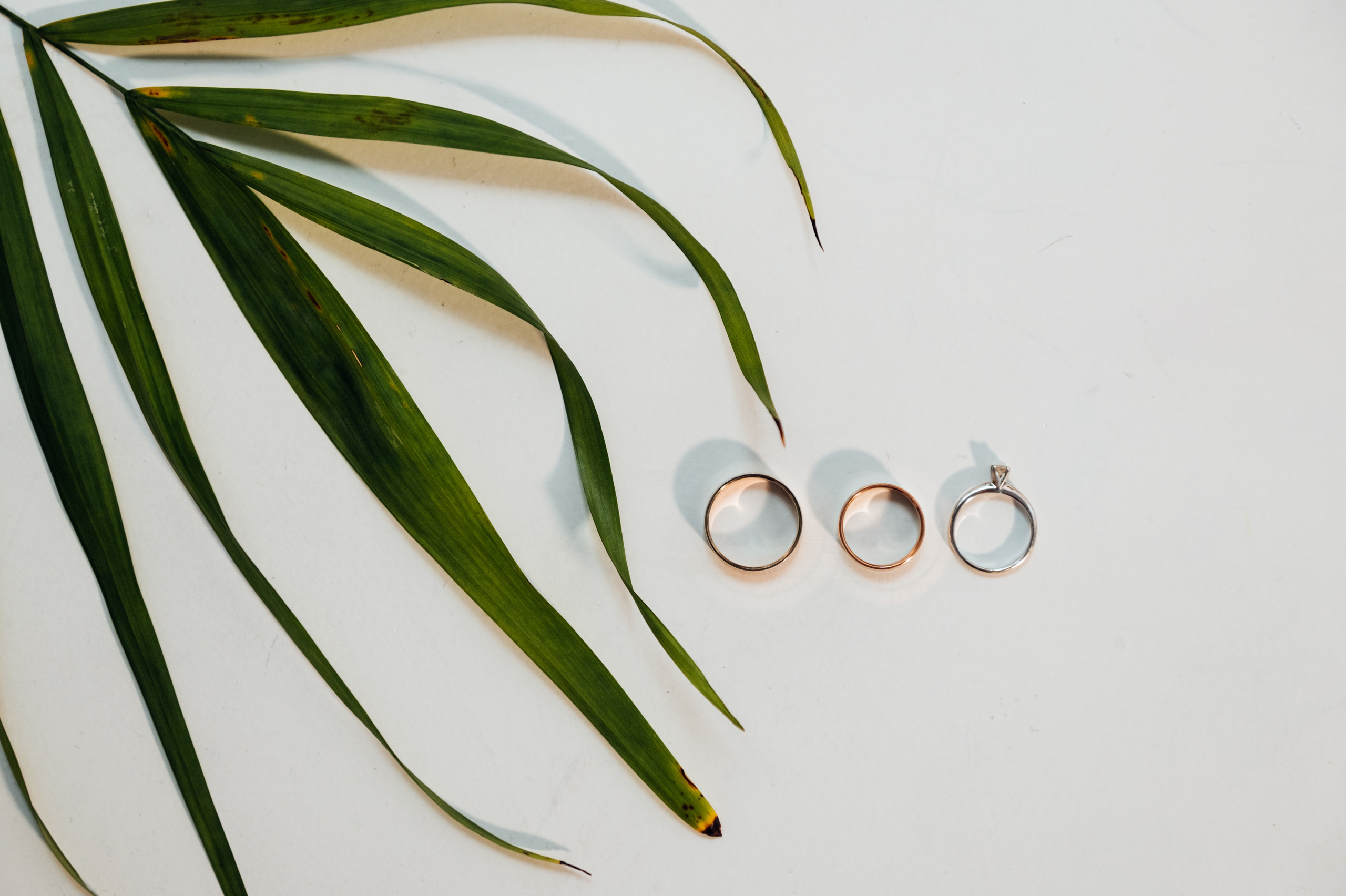 Tatiana & Alexei. Fotograf de familie și evenimente