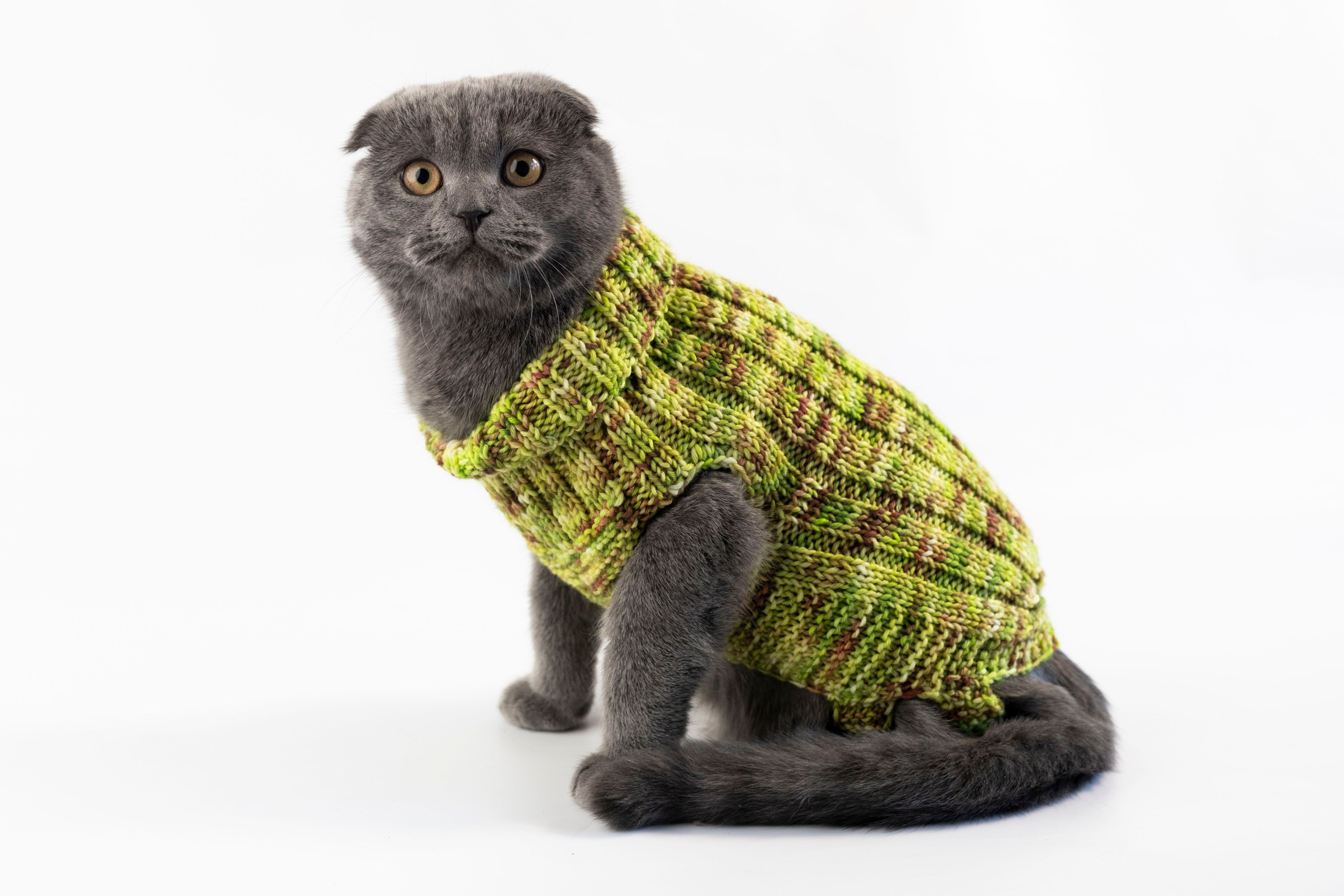 Fotografie Comercială. Fotograf și videograf din municipiul Bălți