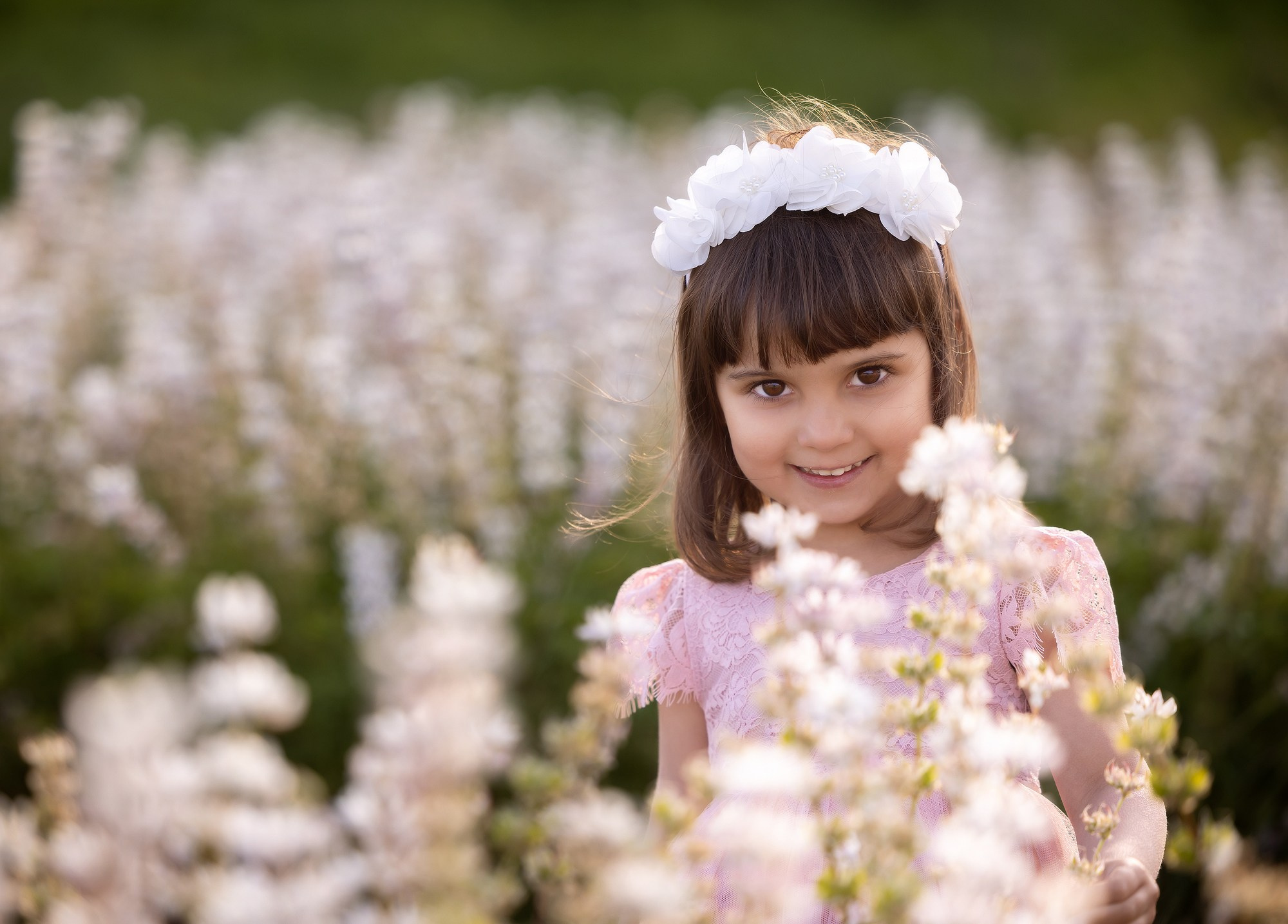Lupines Story. Photographer is San Jose, Iryna Novosyolova