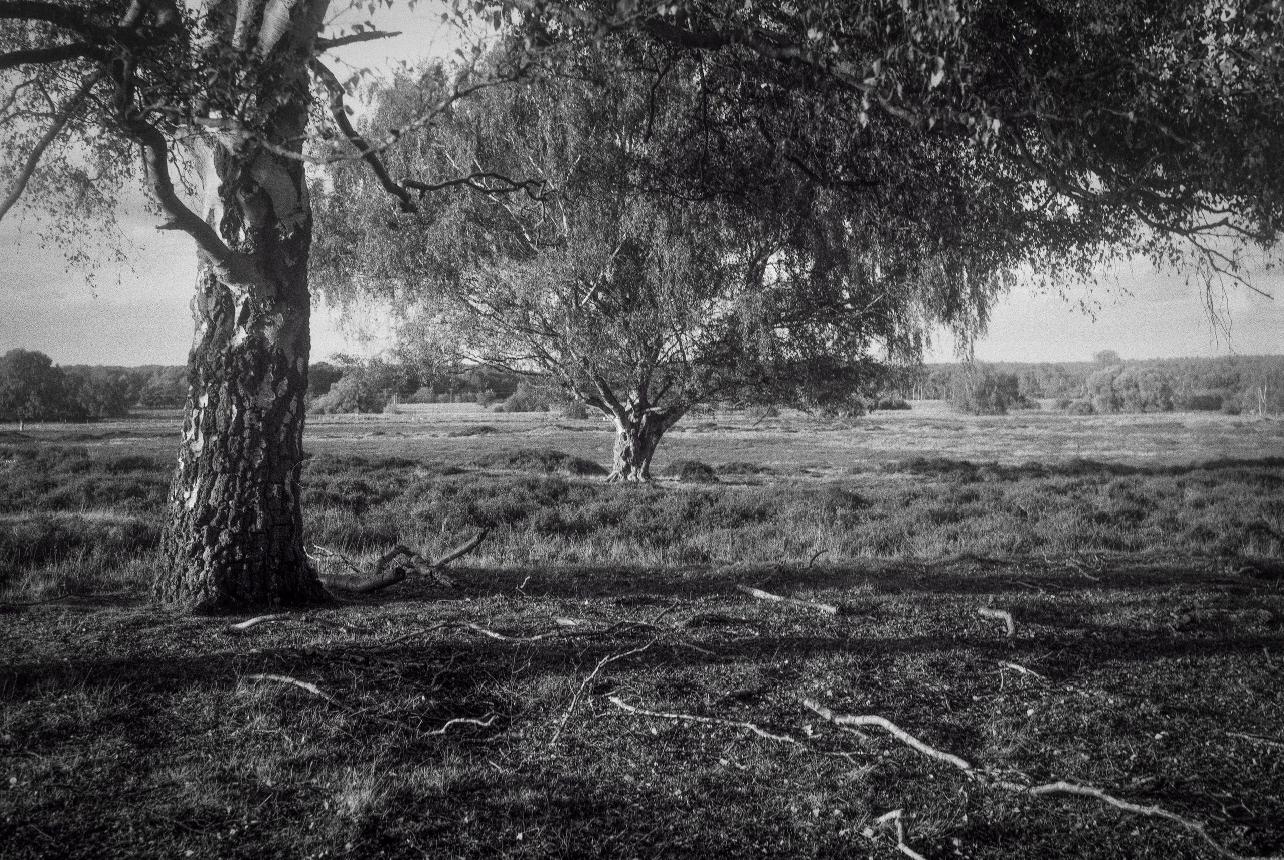 Trying a 1955 Baldalux Folder Camera for Film Photography. Hedley Wright Photography | East Anglia Sport, Street, Wildlife, Landscape & Astrophotography