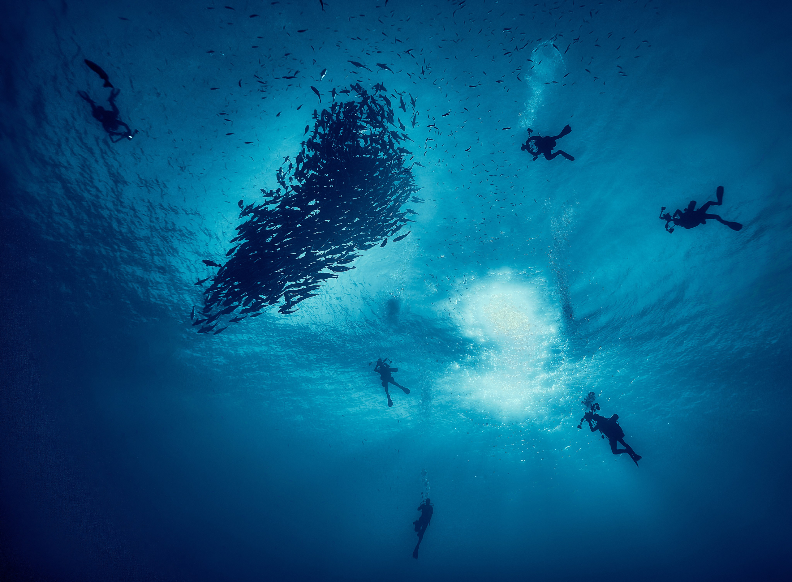 Mieszkańcy mórz. Andriej Szypilow — Photography & Videography