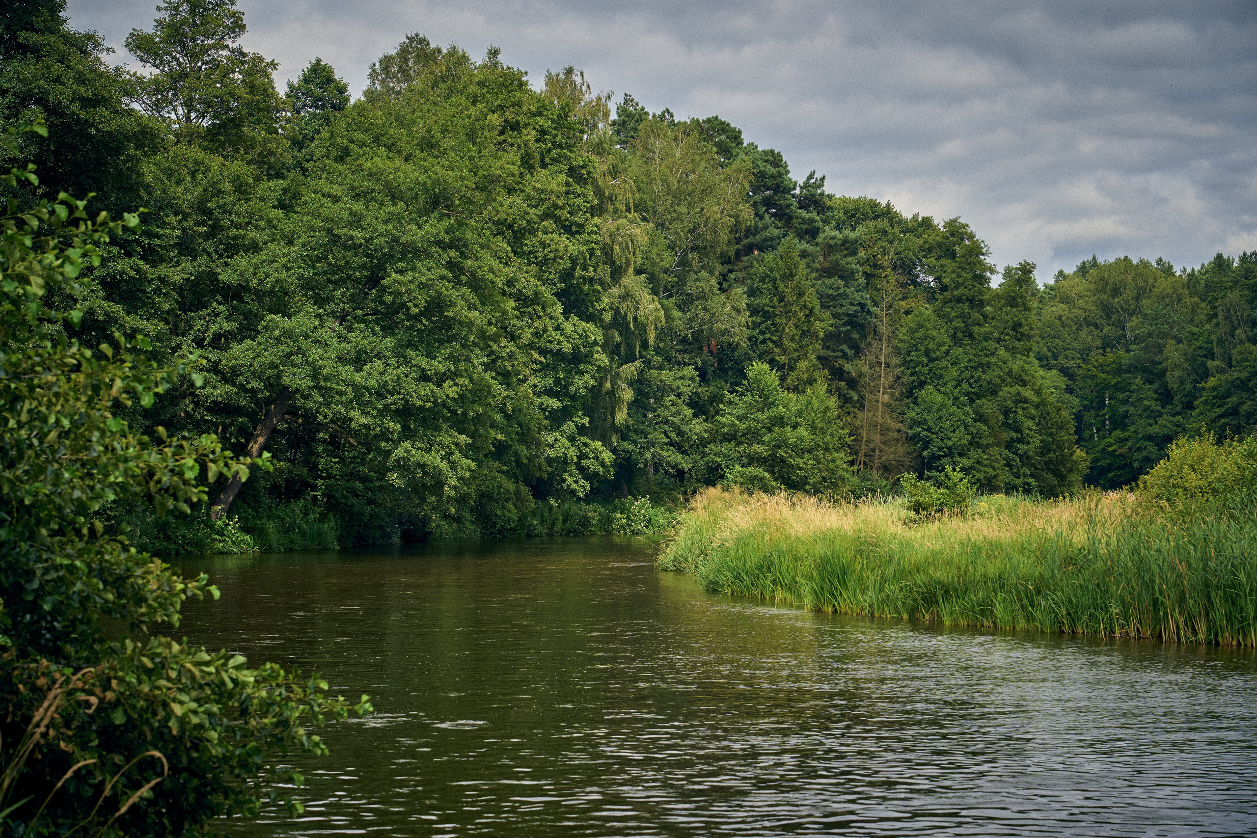 Organic Festival 2024. Андрей Шипилов — Фотография & Видеография