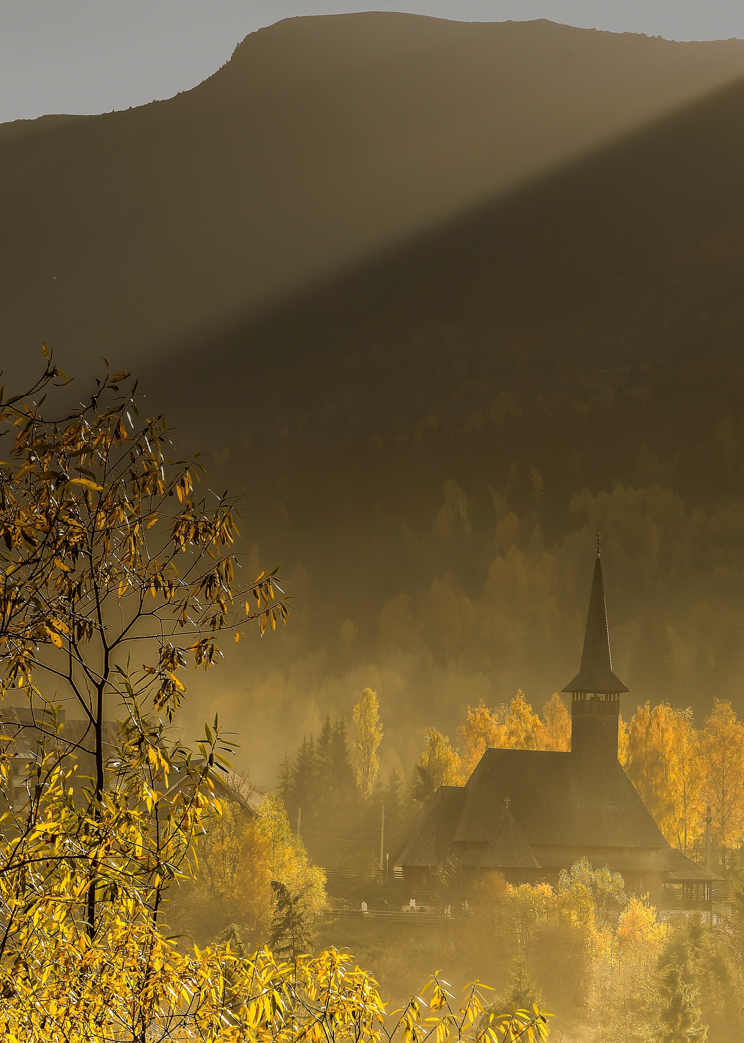 Călătorie. Daniel Hașiegan