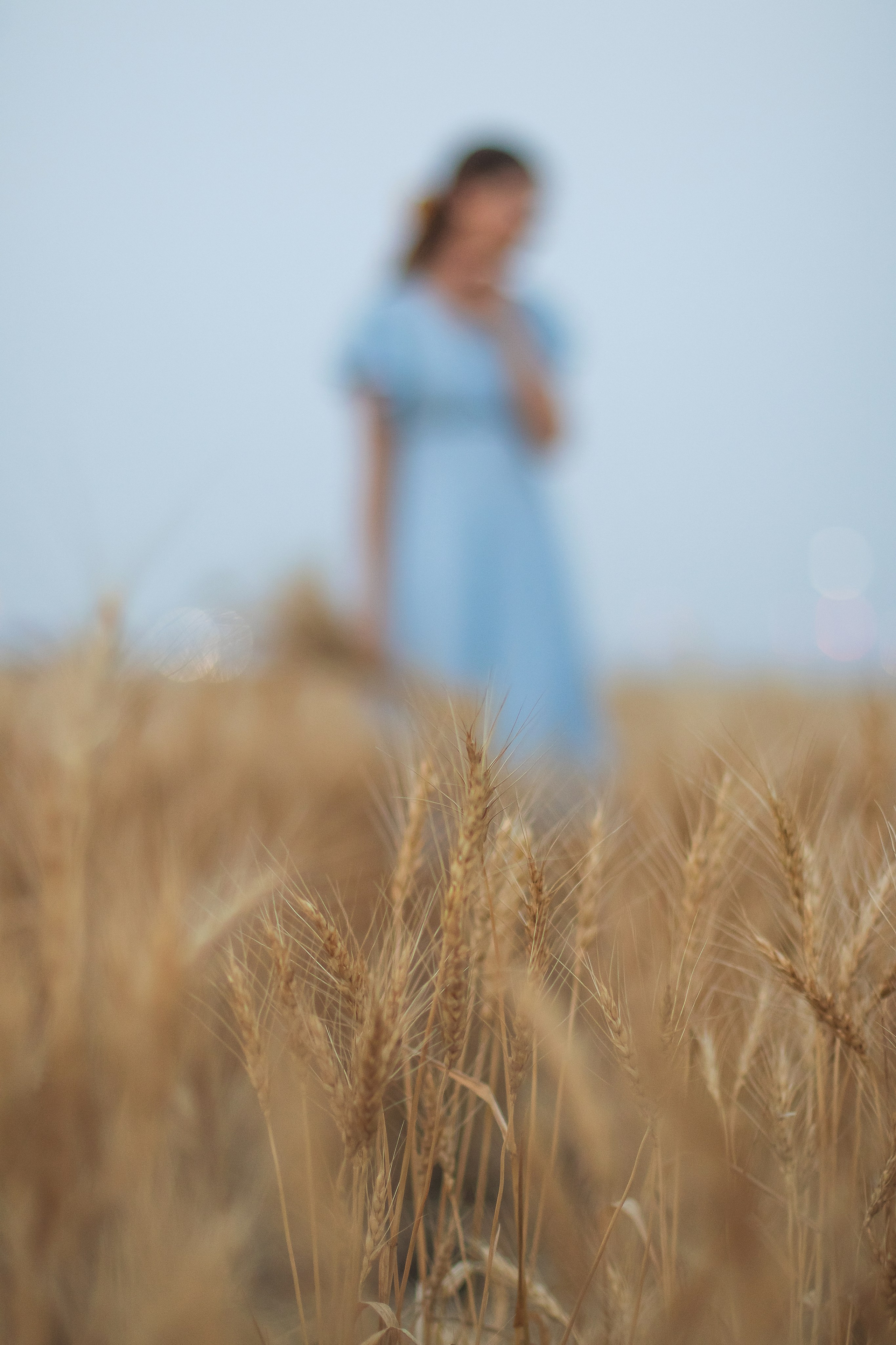 In the Wheat. Photographer Yana Galetskaya in Grand Prairie
