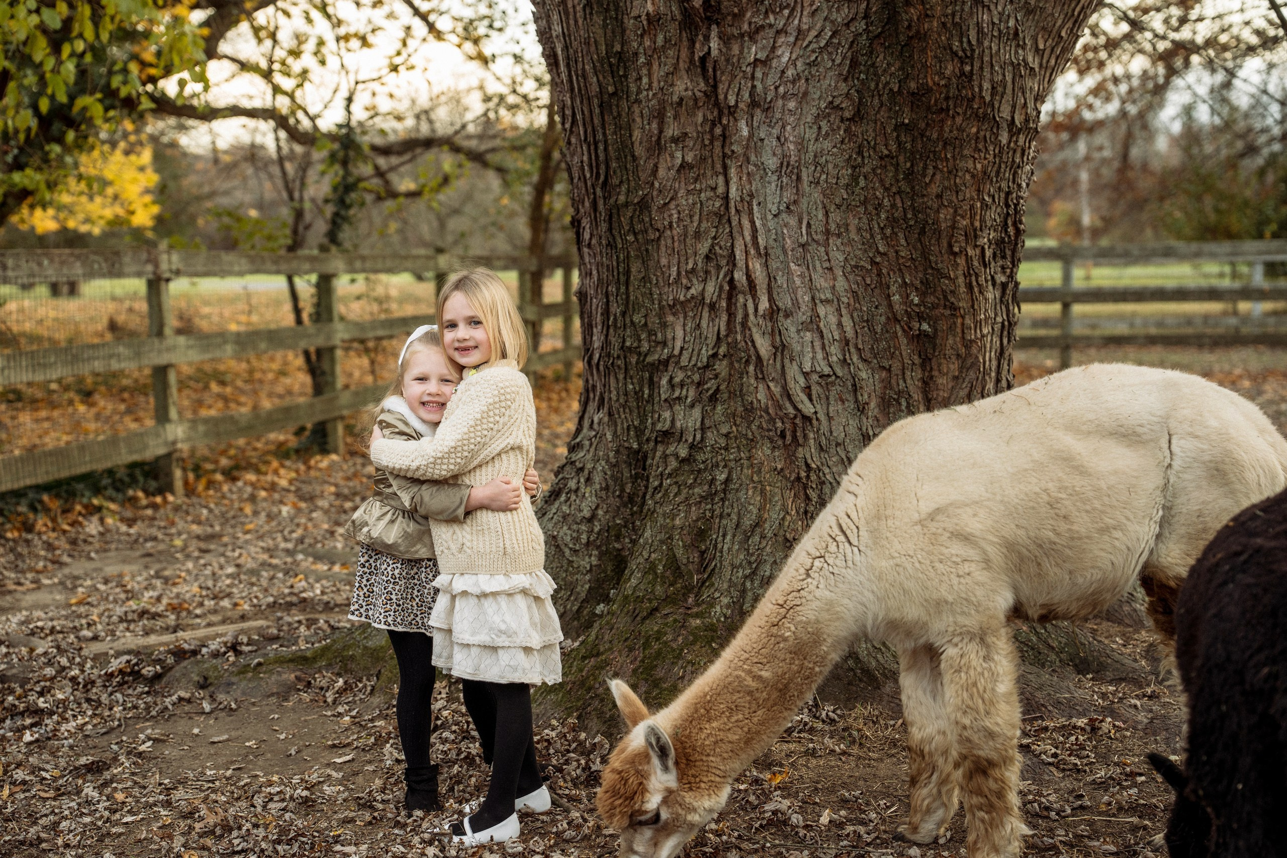 Anna, Stephen, Maribel and Maya. Alisa Tant — Family and newborn photographer Bucks County, Montgomery county, Philadelphia, NJ