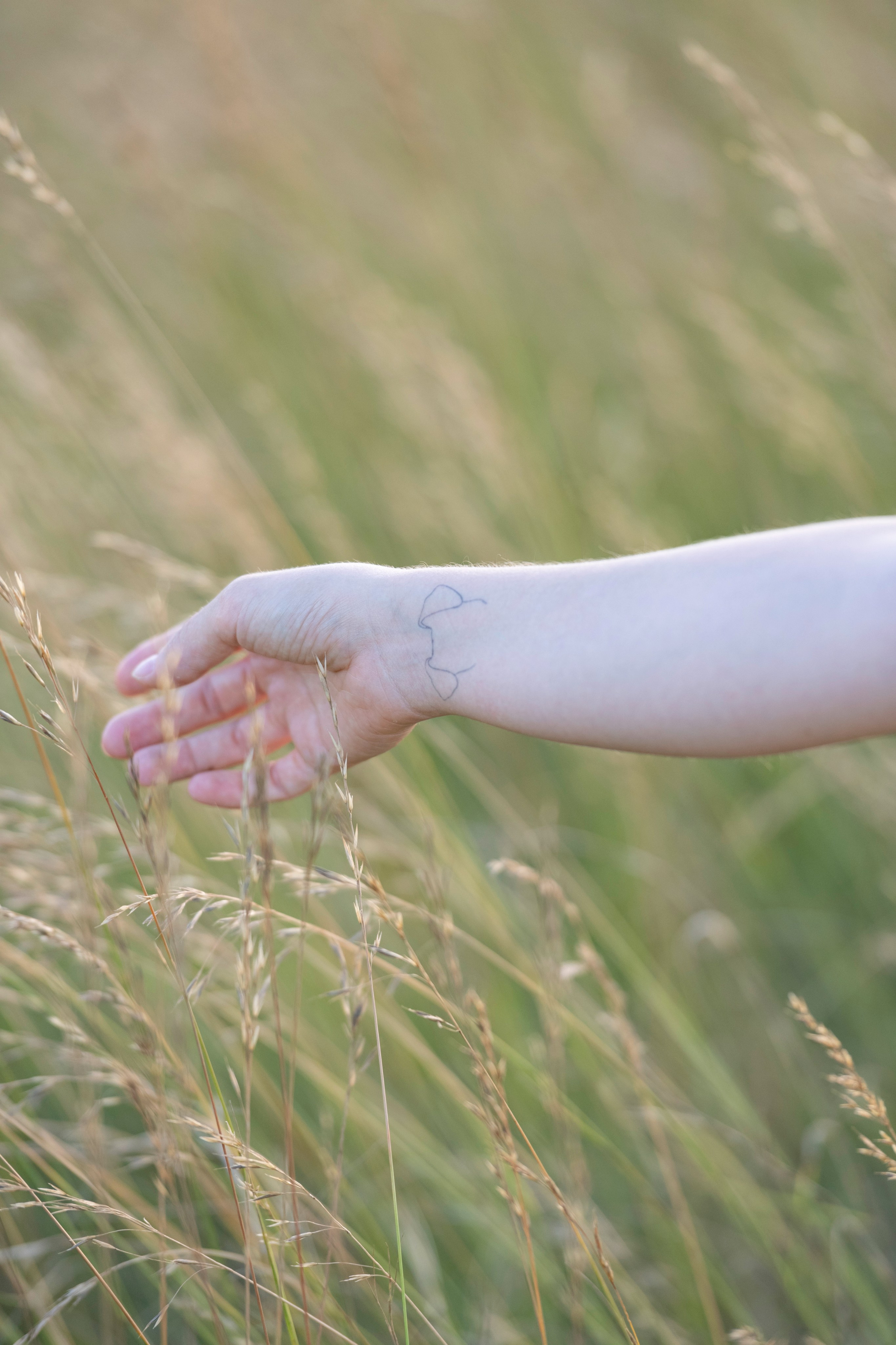 Portfolio. Photographe Mykhaylyk Vladyslav