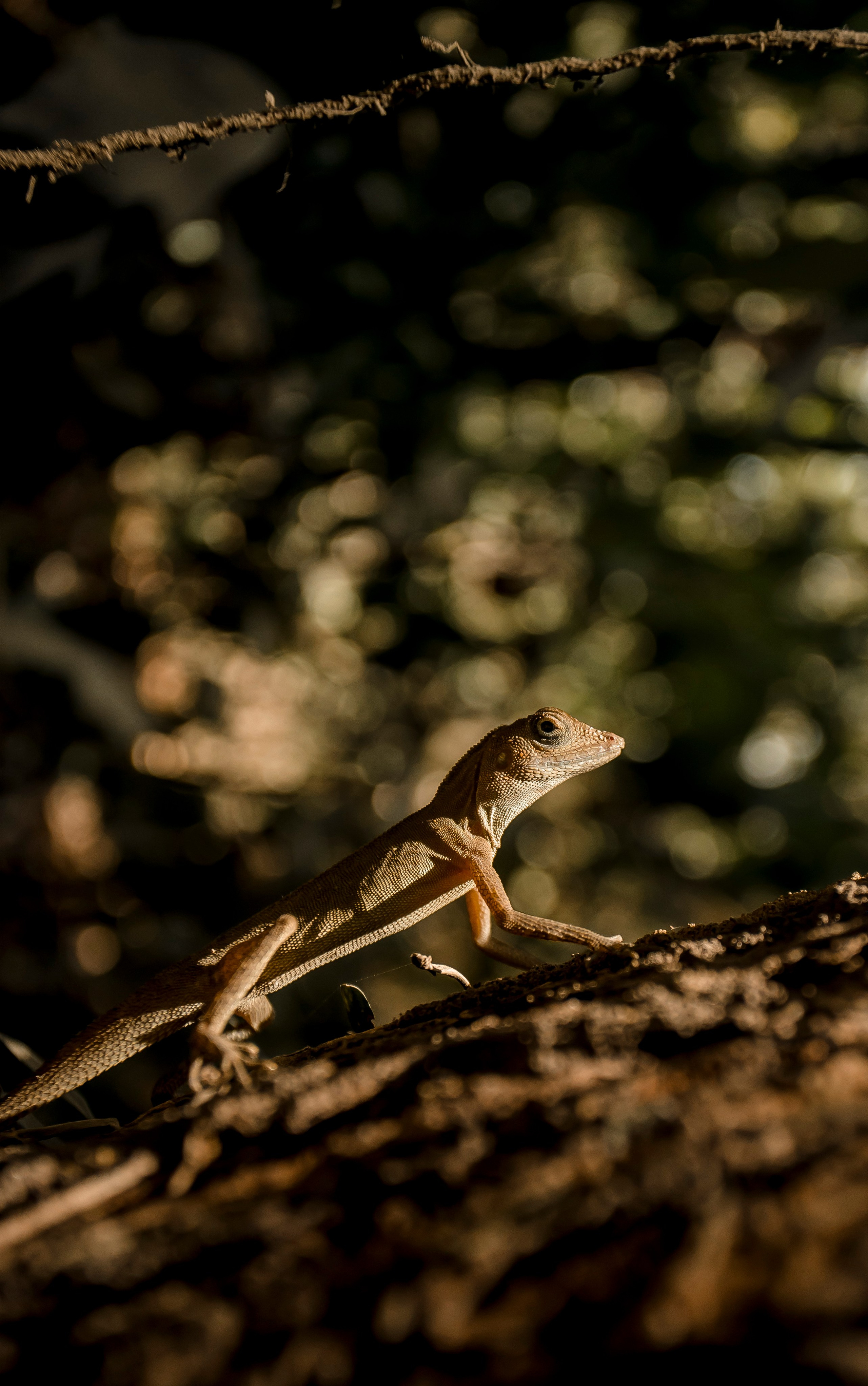 Andaman Islands, Part2. Art Photographer