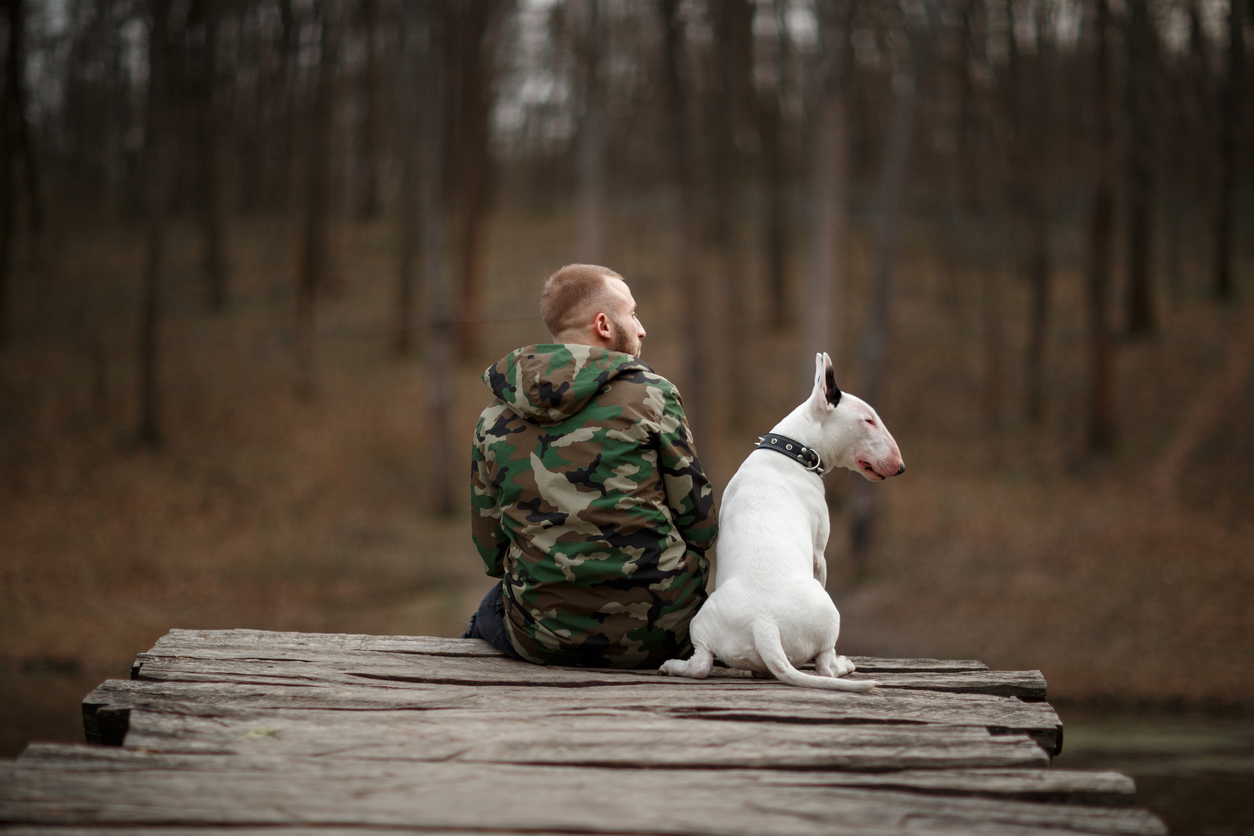 Pets. Wedding & family photographer in Dorset, England. Nataliia Honcharenko