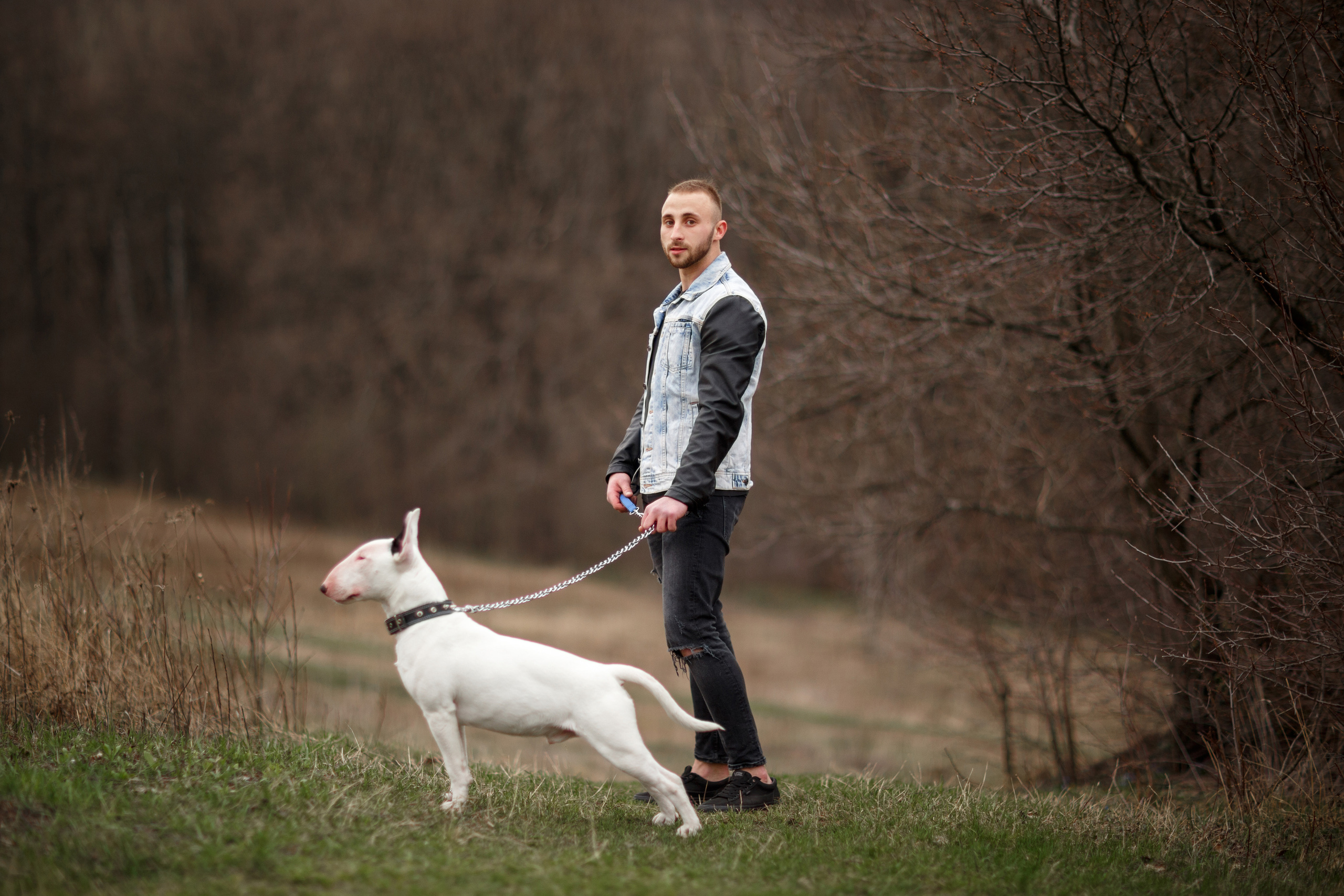 Pets. Wedding & family photographer in Dorset, England. Nataliia Honcharenko