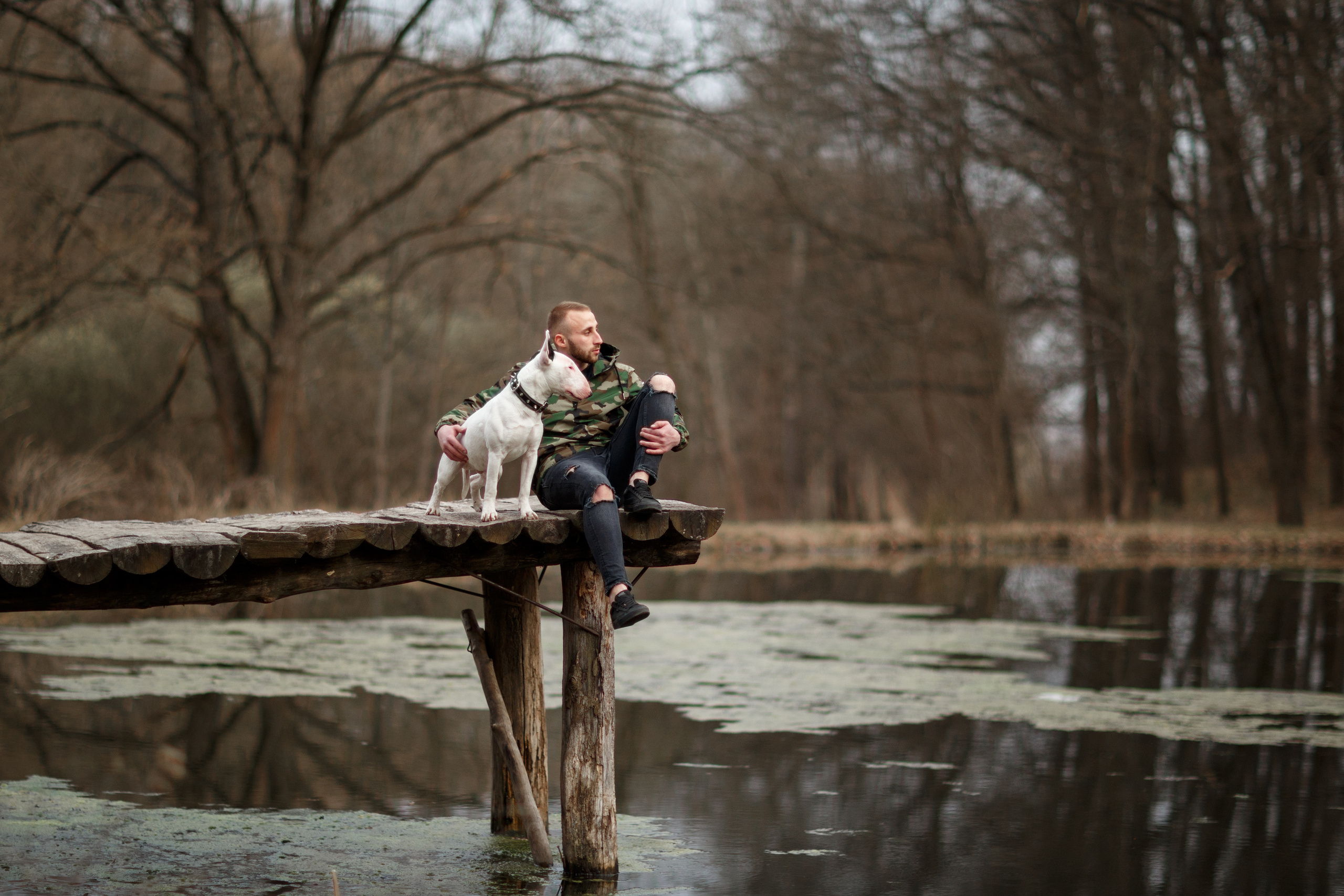 Pets. Wedding & family photographer in Dorset, England. Nataliia Honcharenko