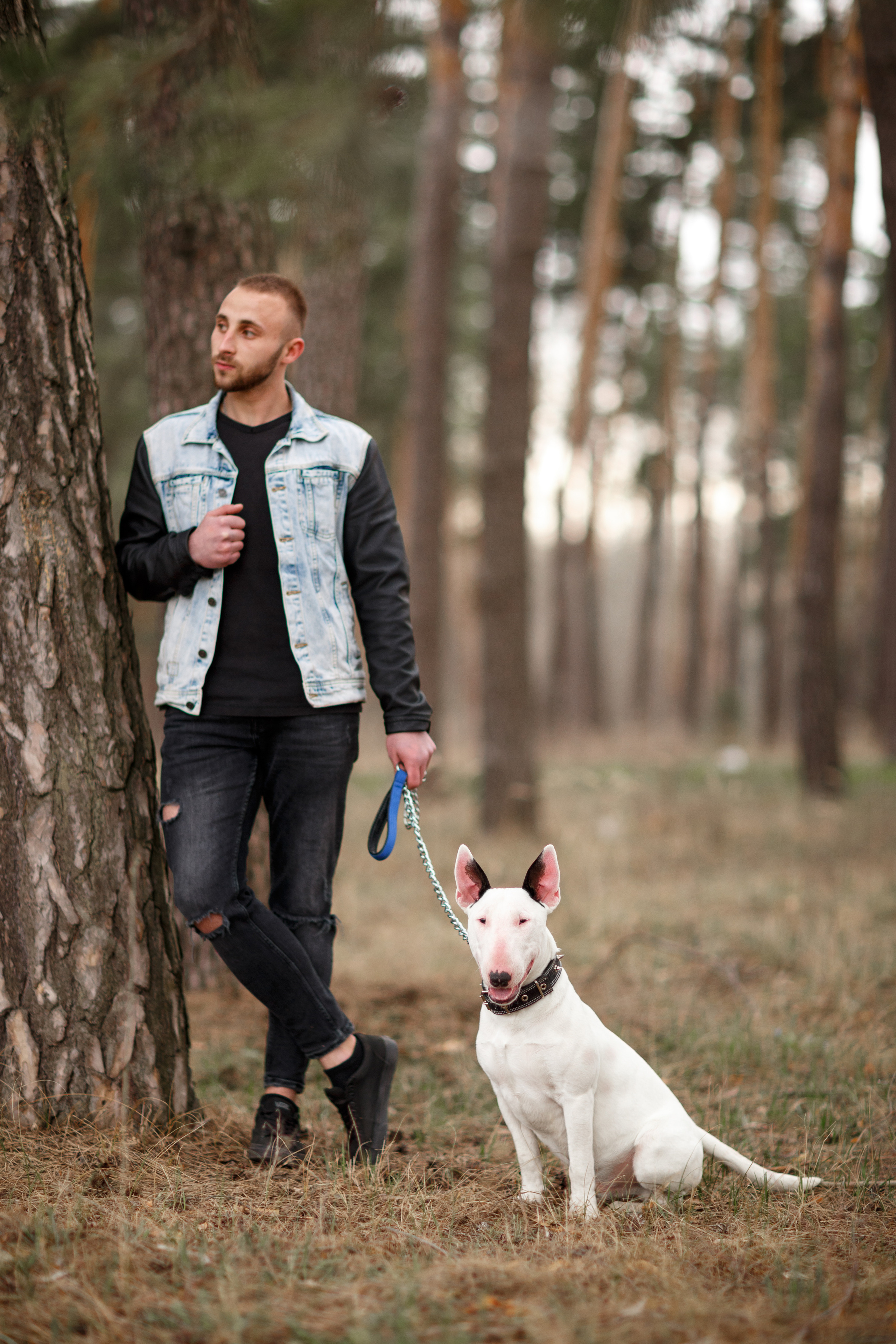 Pets. Wedding & family photographer in Dorset, England. Nataliia Honcharenko