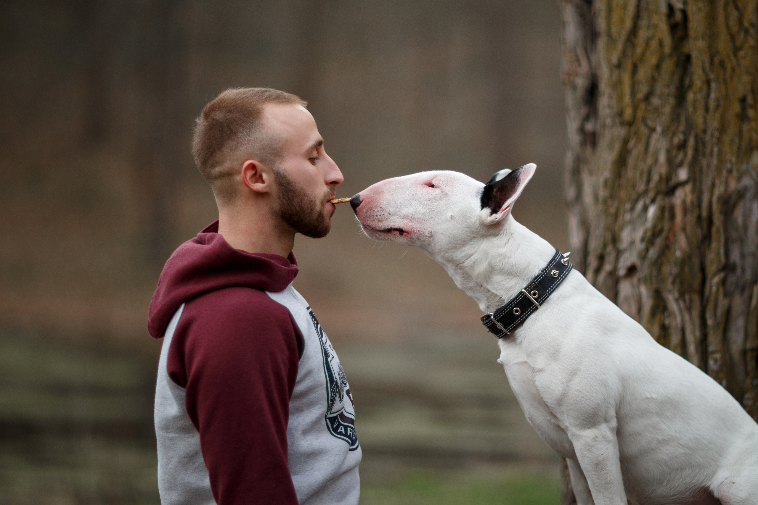 Pets. Wedding & family photographer in Dorset, England. Nataliia Honcharenko