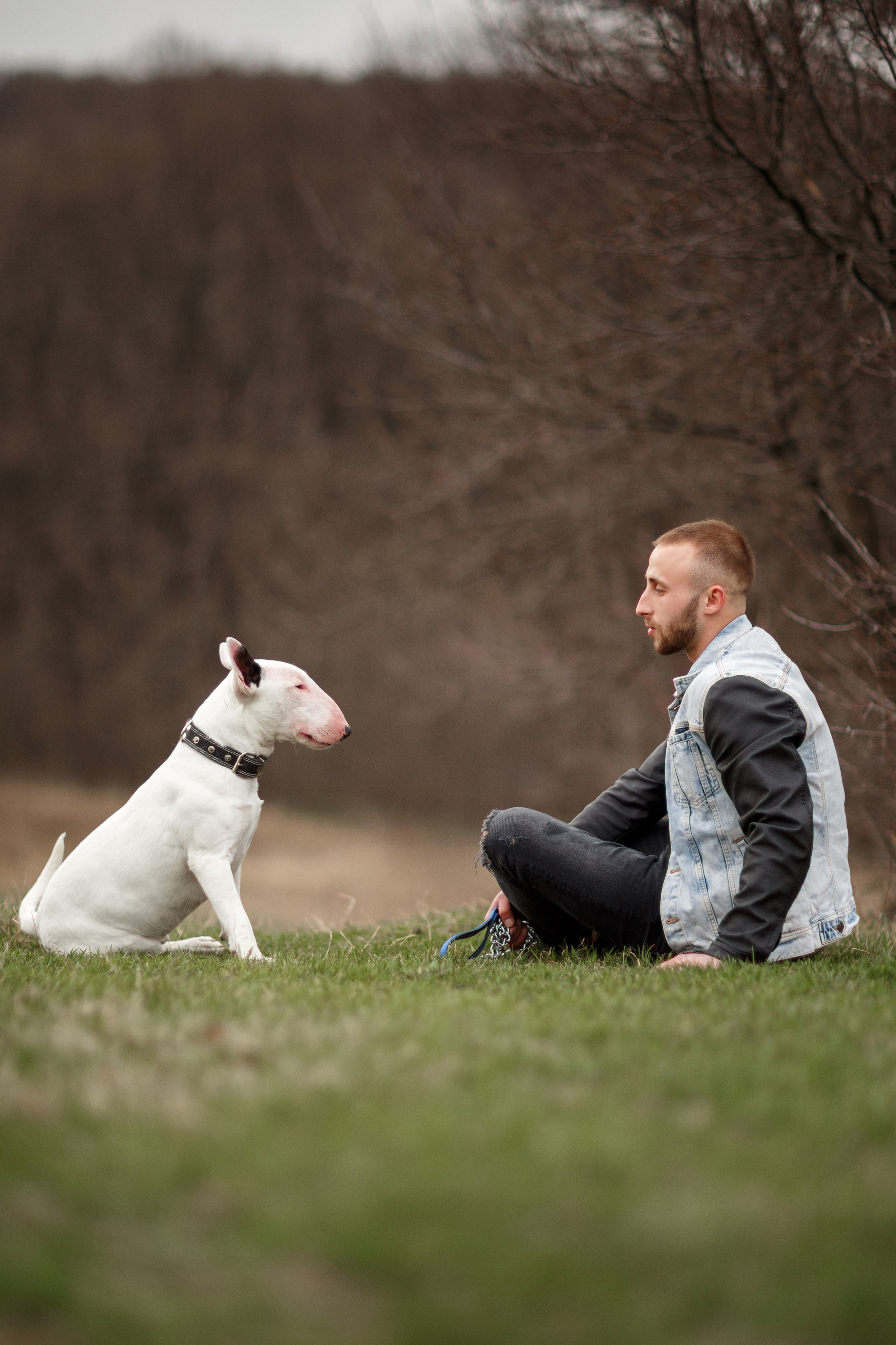 Pets. Wedding & family photographer in Dorset, England. Nataliia Honcharenko