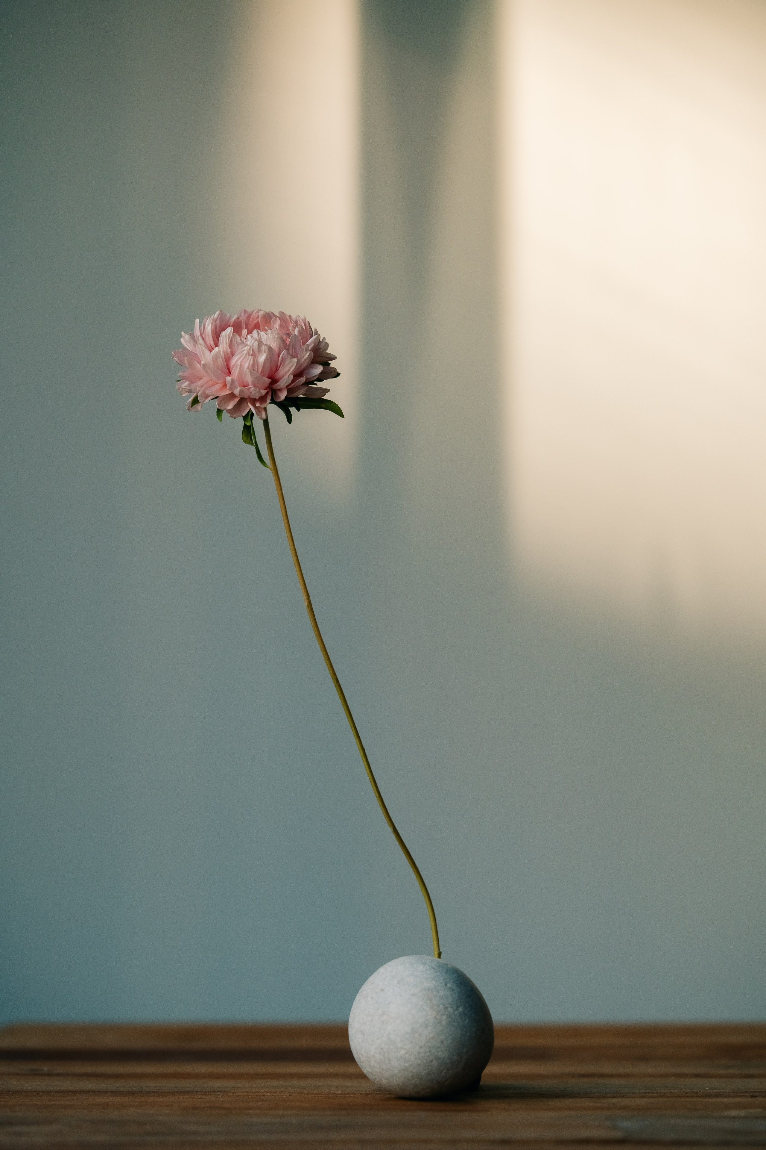 Минималистичная розовая цветочная композиция с круглым камнем. Минималистичная цветочная композиция с одним нежно-розовым цветком на длинном, тонком зелёном стебле. Цветок элегантно расположен за небольшим круглым камнем, установленным на деревянной поверхности.