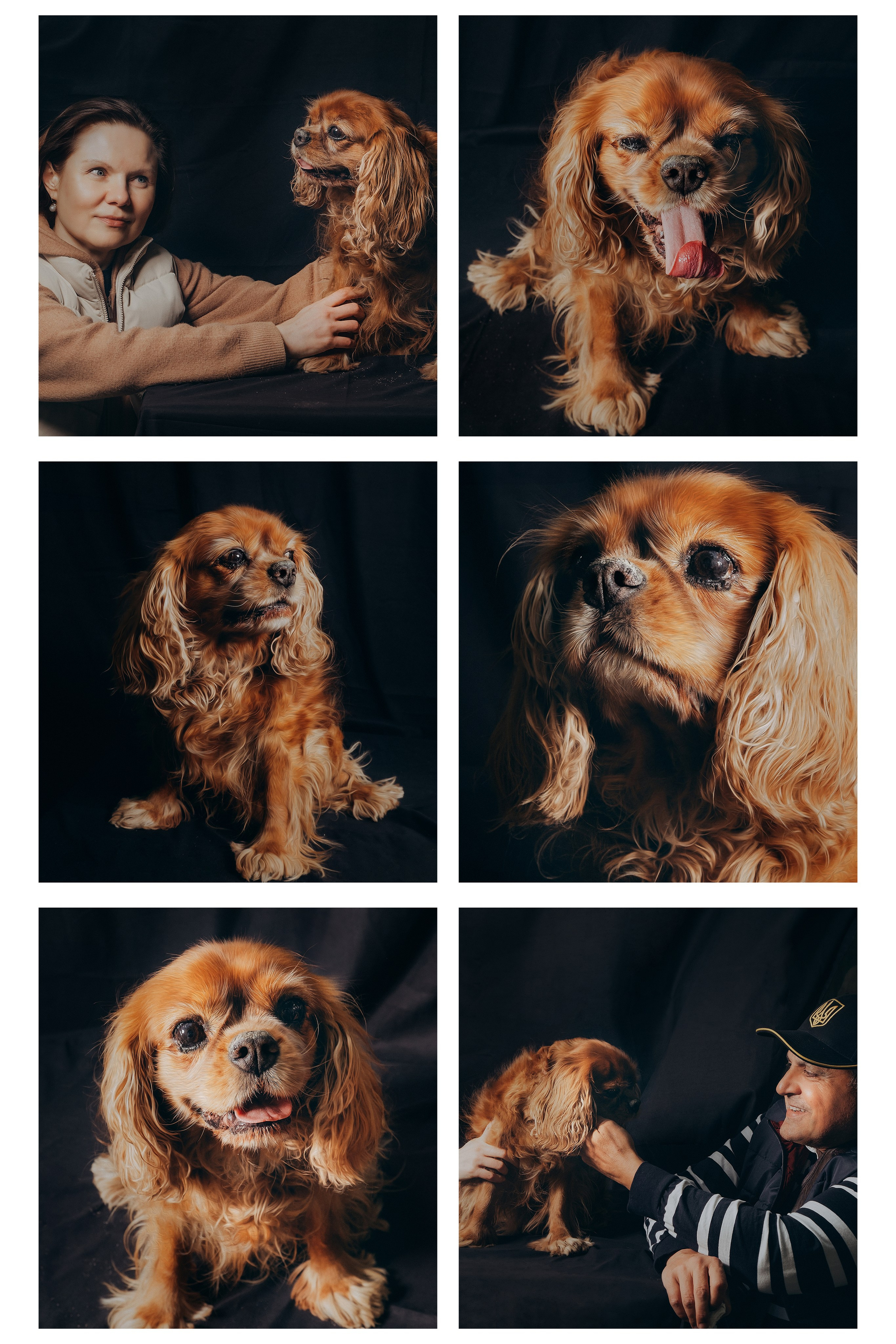 TOLOKA. Портрет за донат. Валерія Сичова. Сімейний та репортажний фотограф в Португаліі