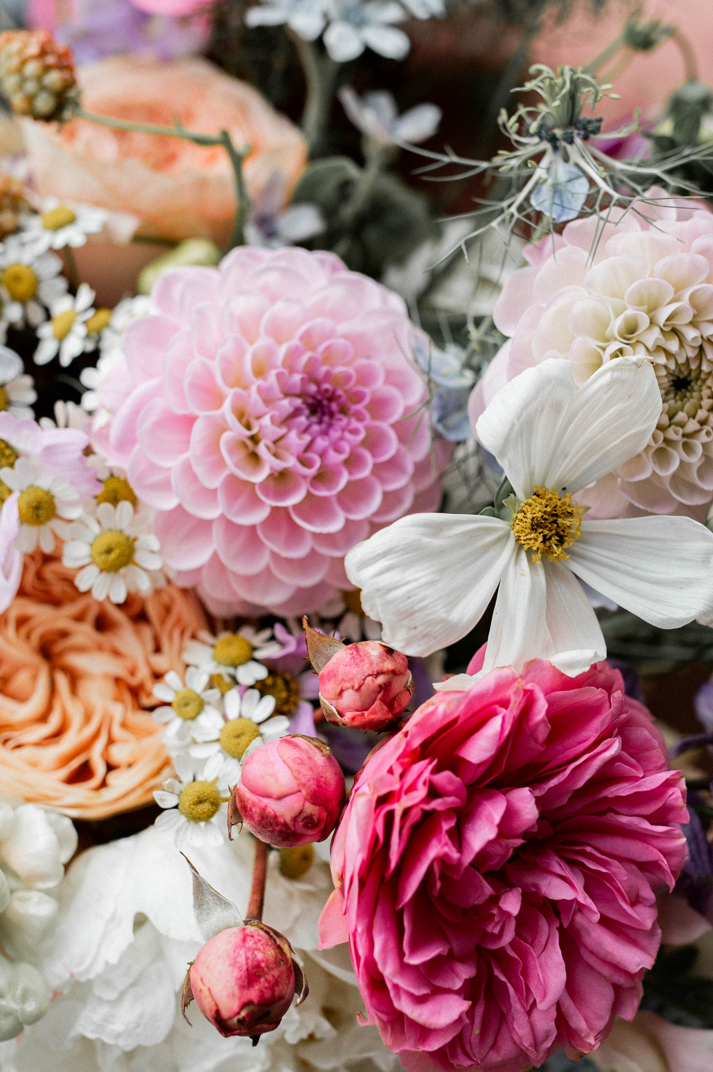 Maria i Artem. Home page