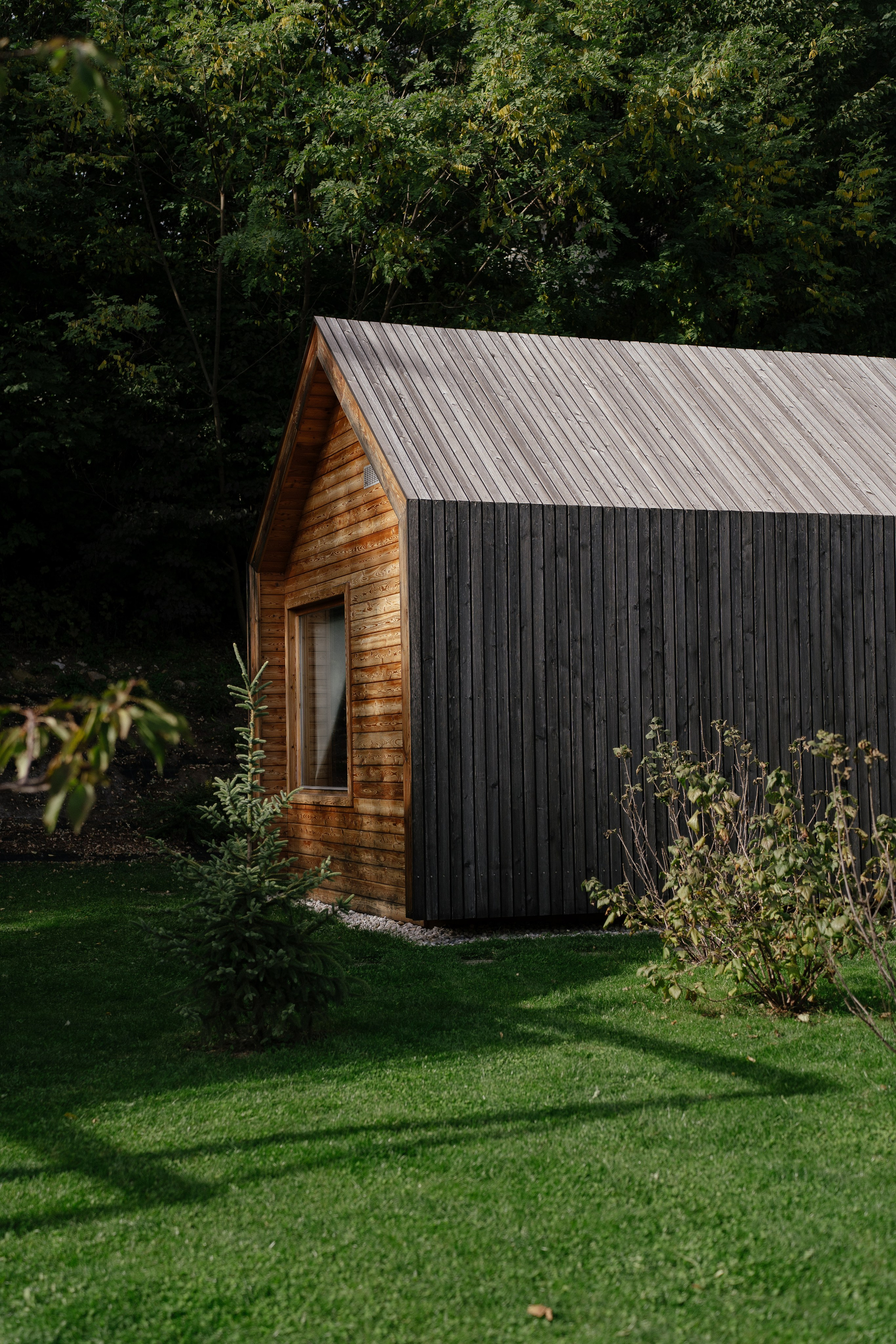 Airbnb. Patricia Morenci — Mountain Adventures for the Wild at Heart