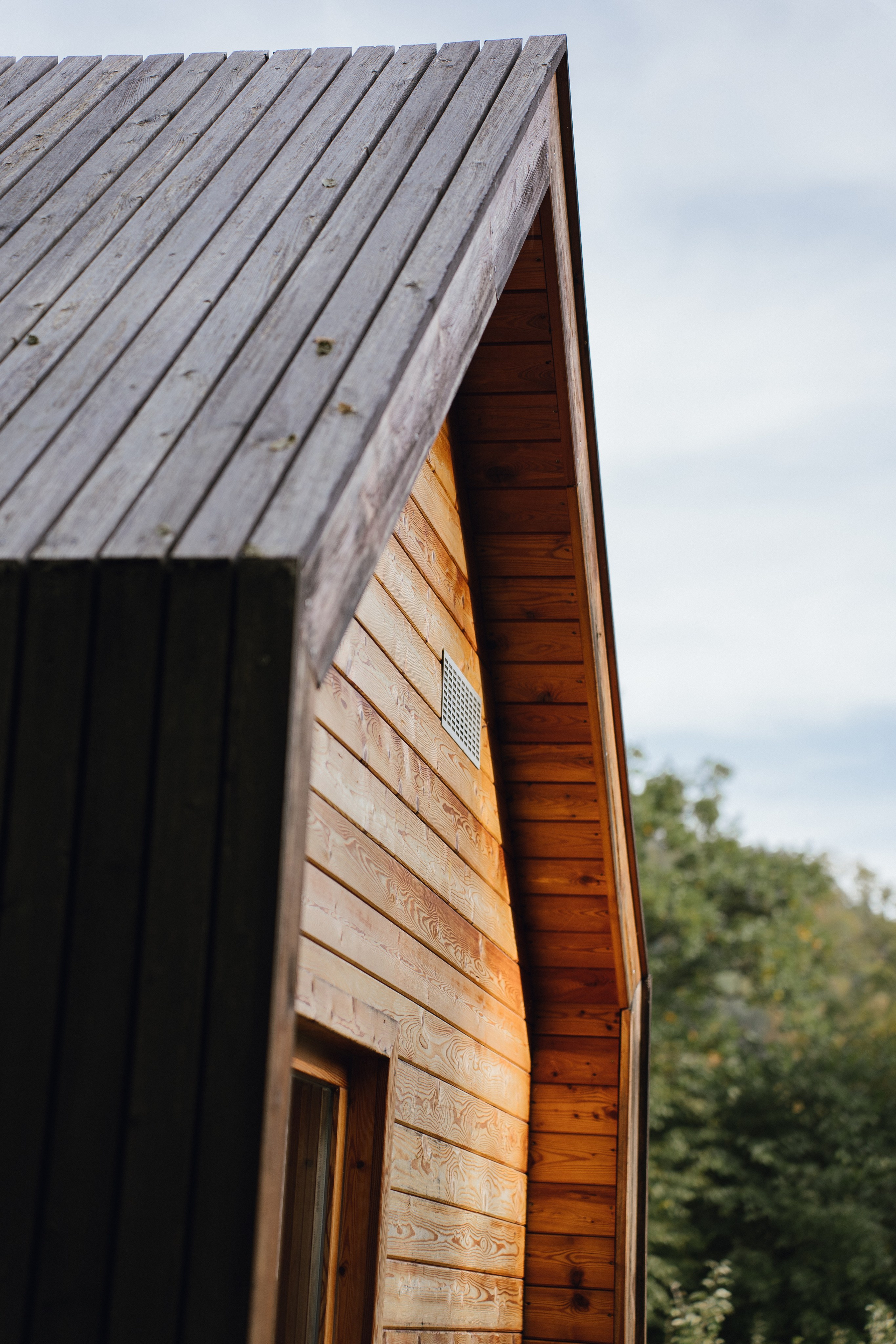 Airbnb. Patricia Morenci — Mountain Adventures for the Wild at Heart