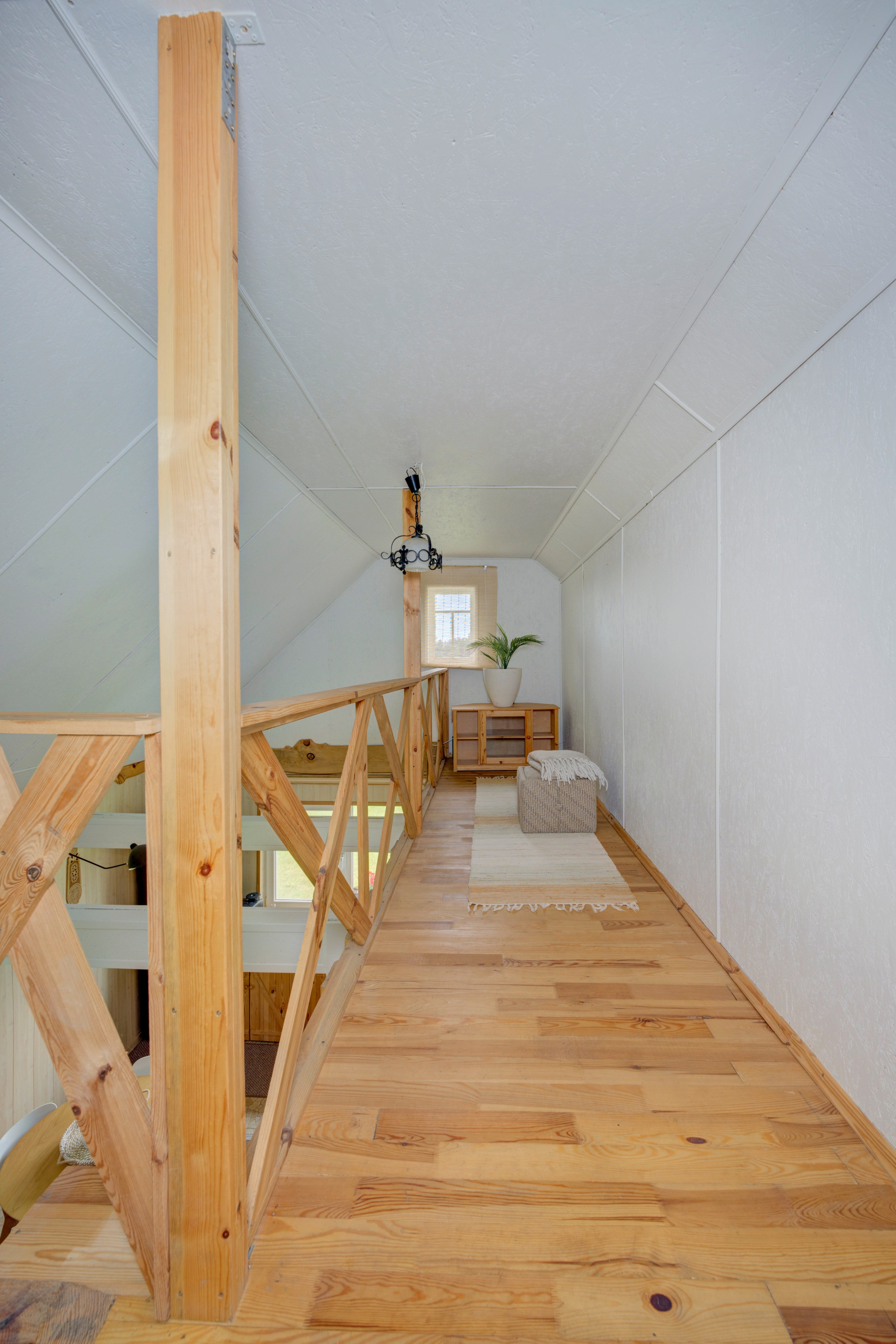 Varėnos raj. Elina Sapiega fotografė Vilniuje