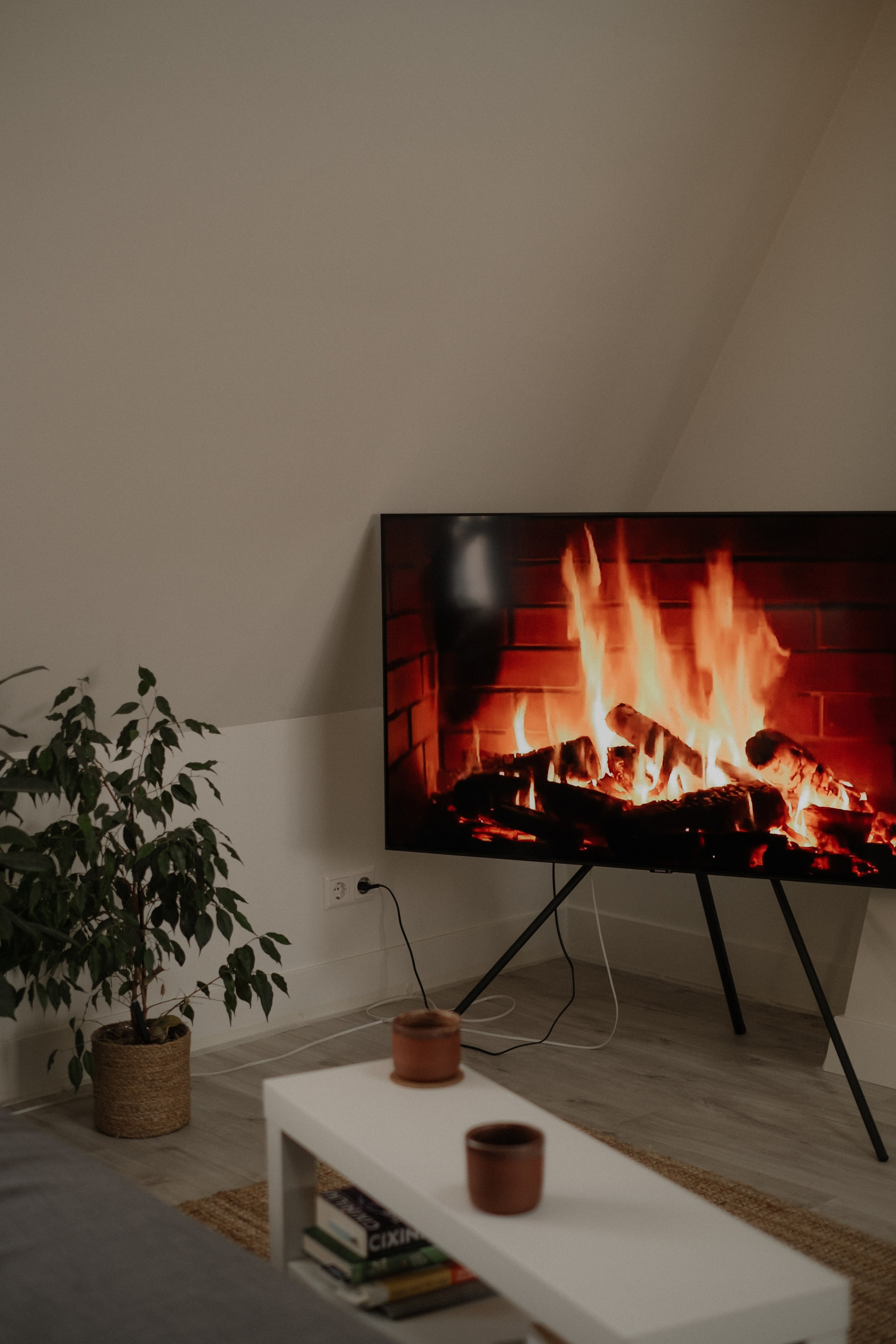 Irina & Ruslan. Lifestyle photographer in Amsterdam Astya Geza