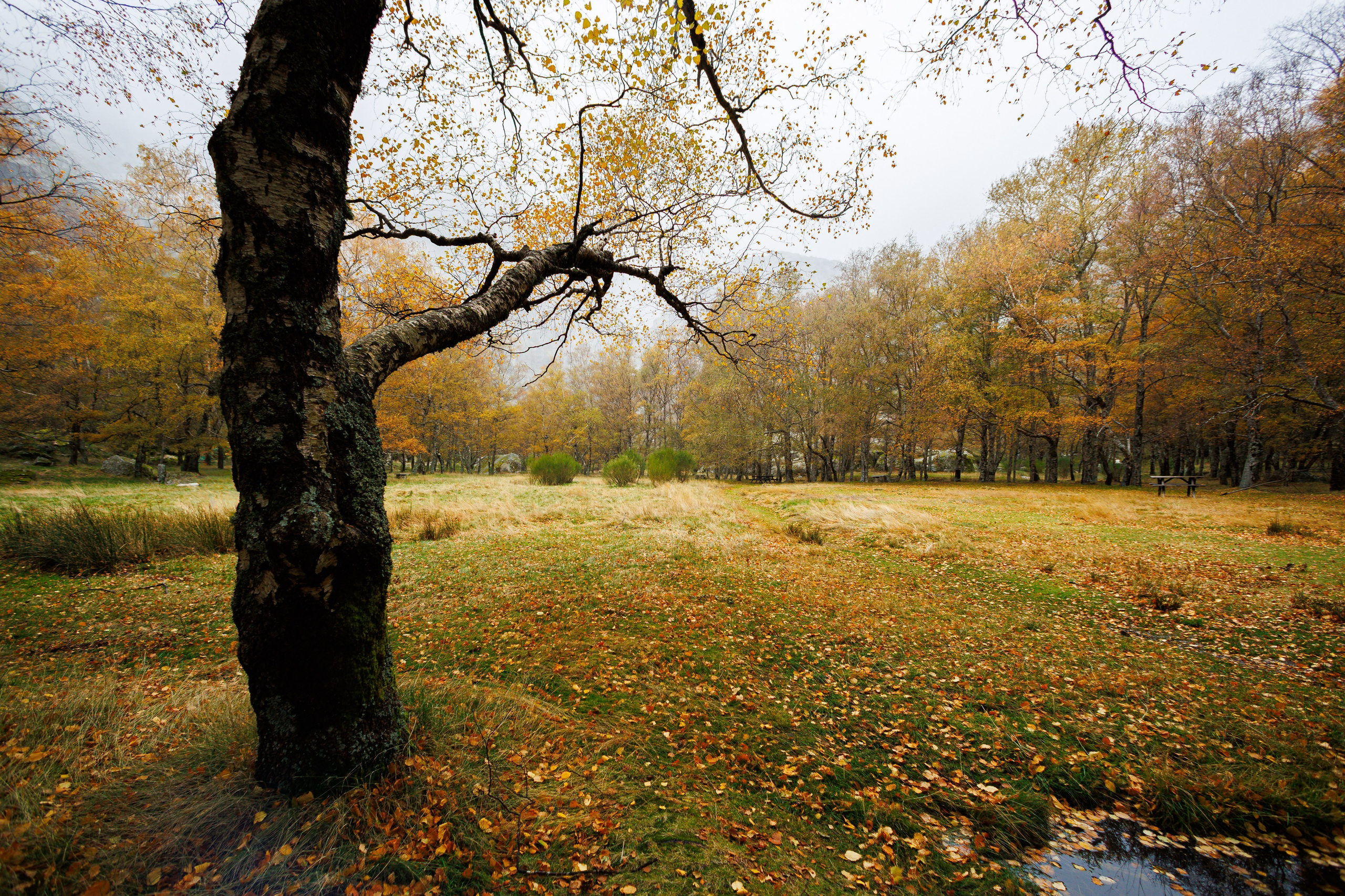 Fotografia de Natureza – Portfólio | Paulo Marques Photography. Paulo Marques Photography