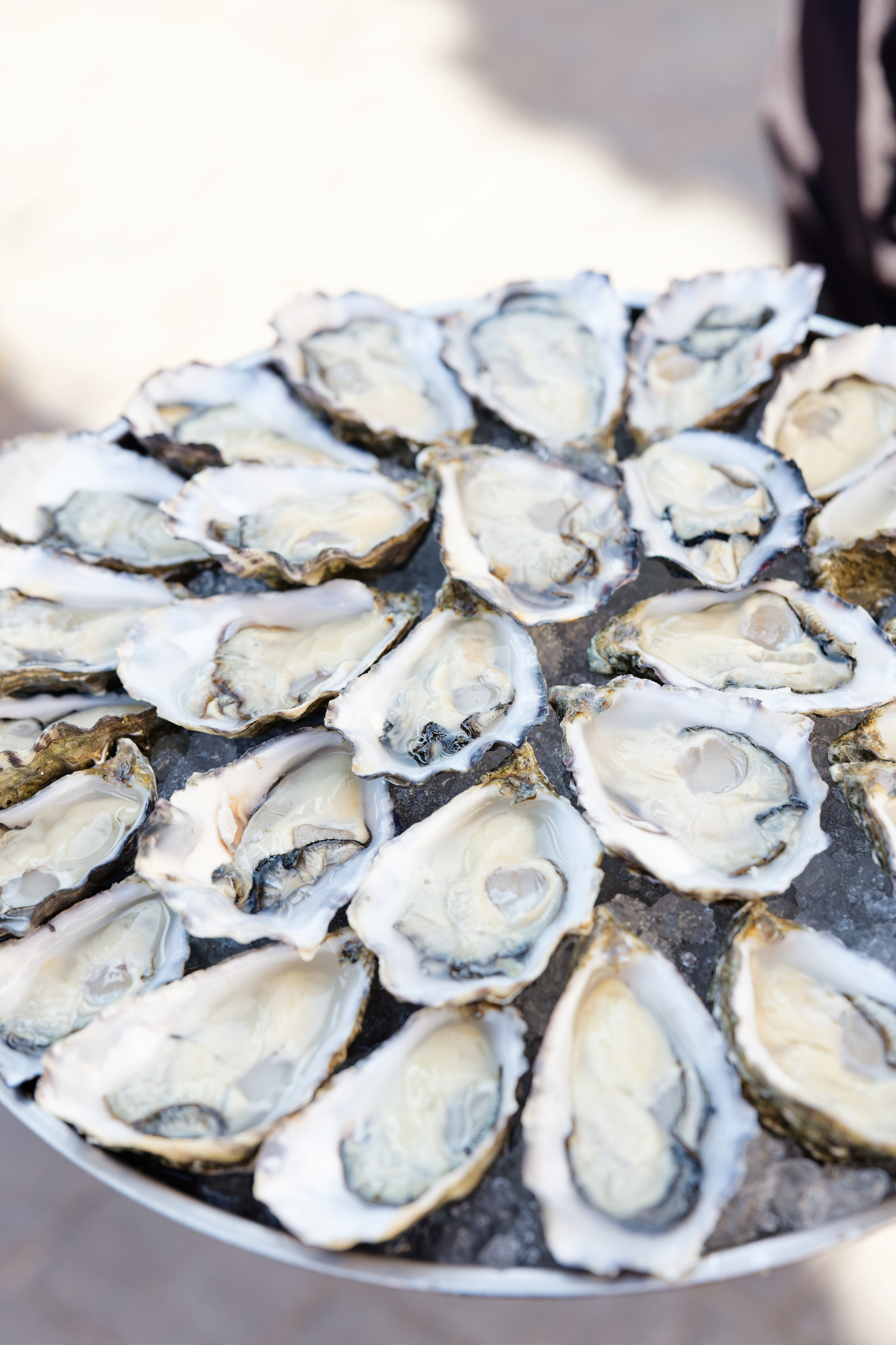 Wedding of Gracie & Joe at Gran Villa Rosa, Barcelona