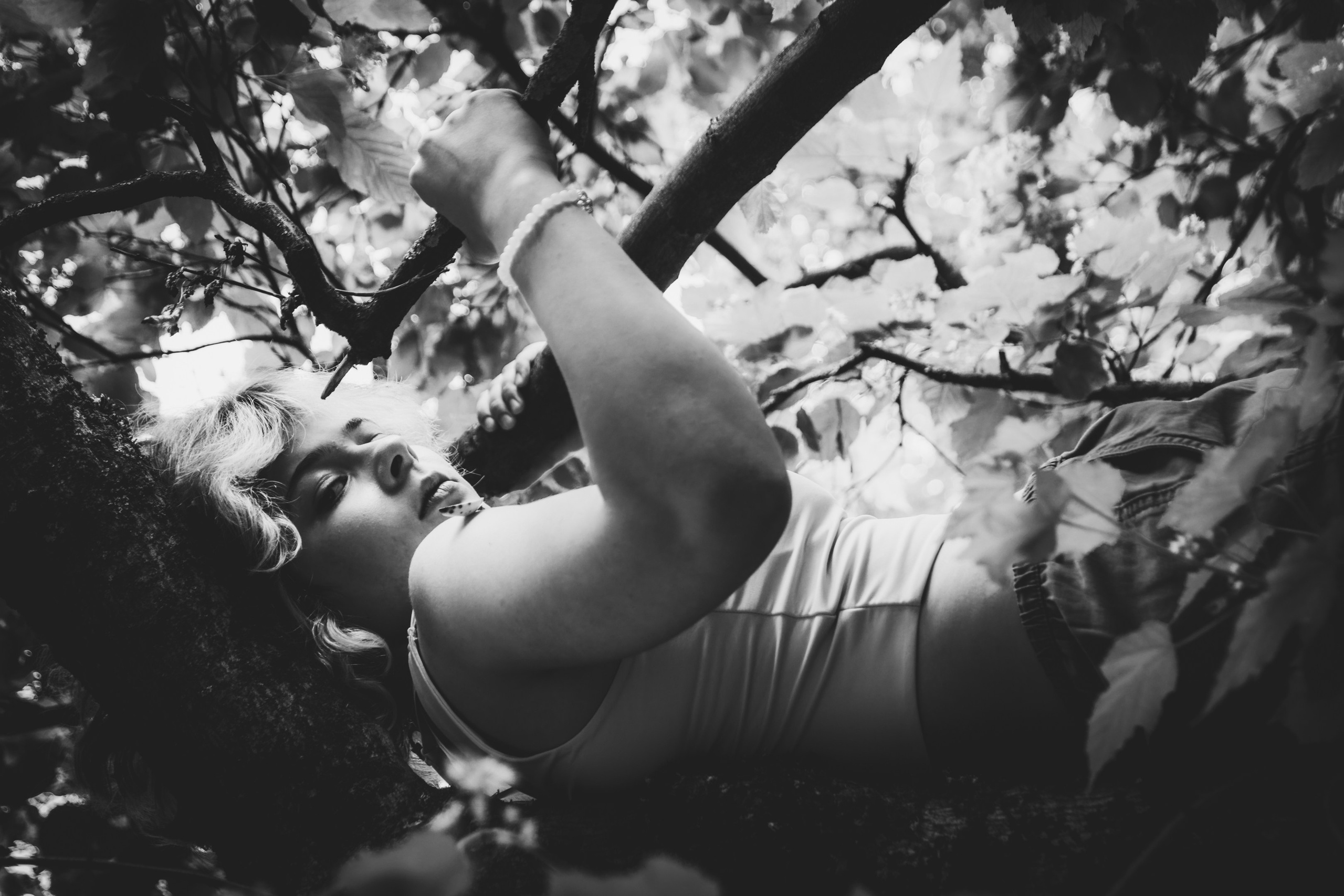 Lahe graatsia (Sonja). Nebula 25 — Fotod teie hingele