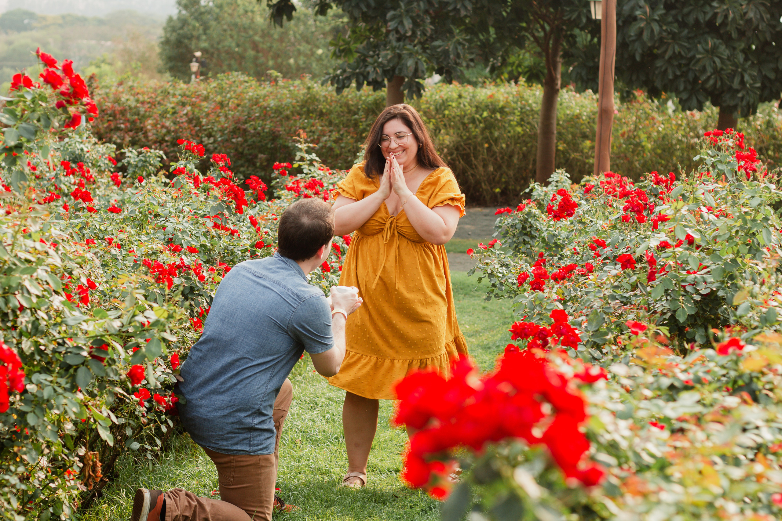 Pedido de Casamento e Pré-Wedding em Holambra | Joyce Maria Fotografia. Joyce Maria Fotografia | Fotógrafa em Holambra