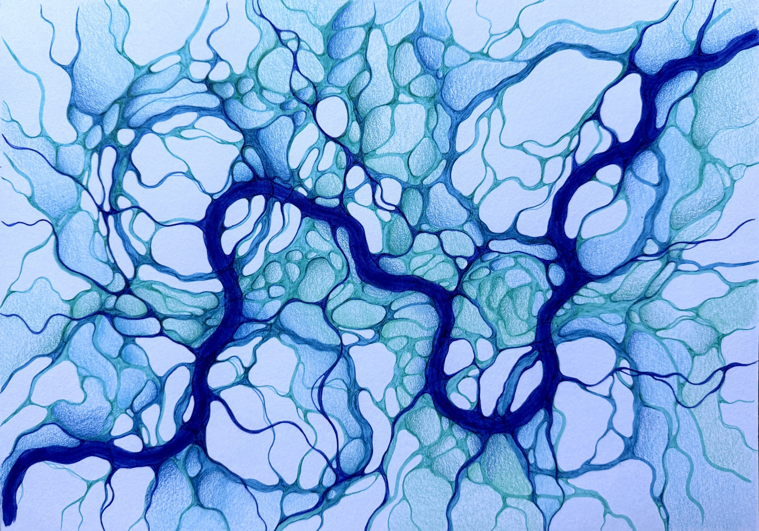 Moje slike. Numerologija. Nevrografika. Delavnice