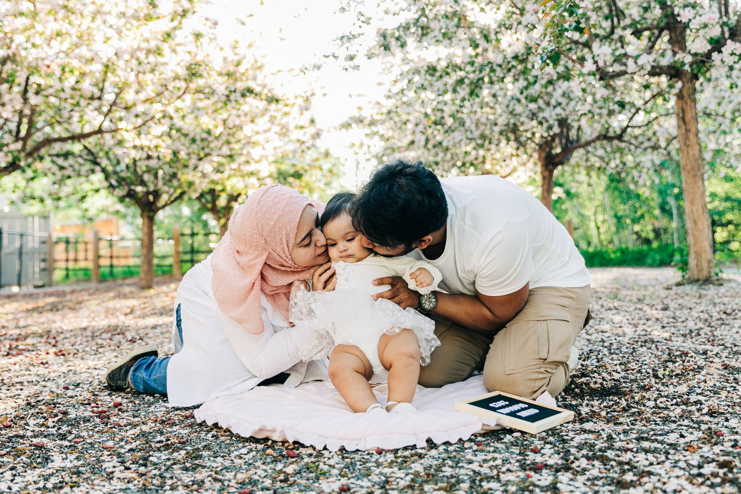 Nabeel Cherry Blossoms. Fotografía accesible en Calgary