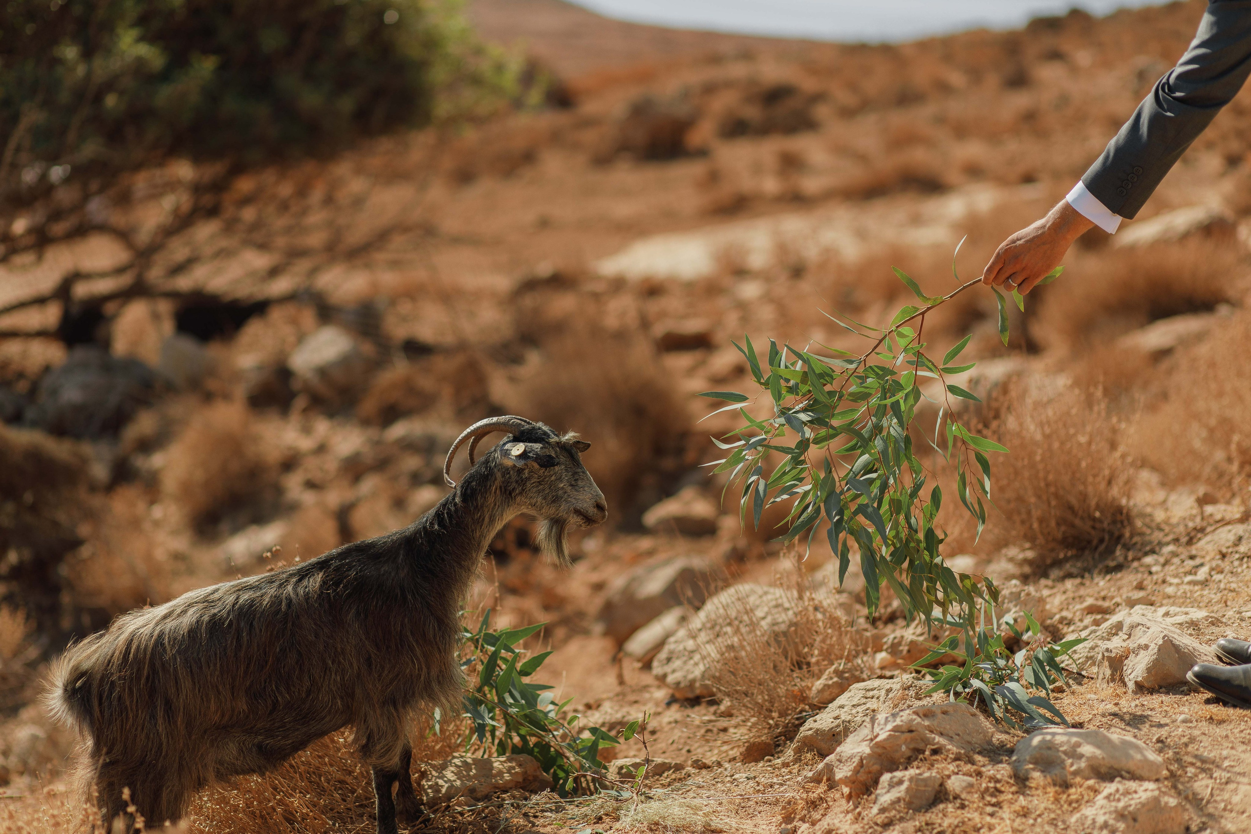 Marino & Steffi, Crete. Denny Savon — Photographer in Santorini | Weddings, Love Stories & Flying Dress