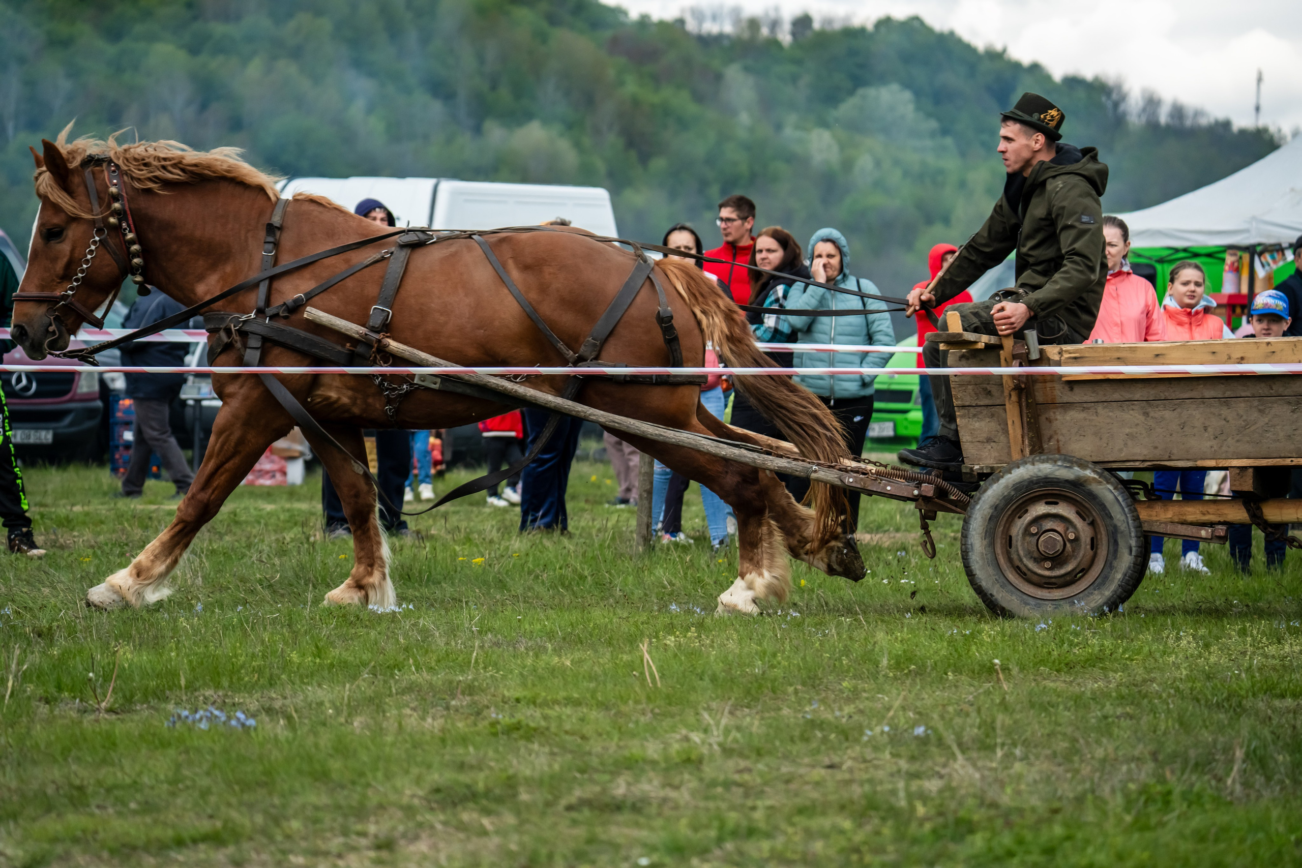 Concurs Ecvestru Vărbilău ediția a 4-a. Mihai Alexandra Events