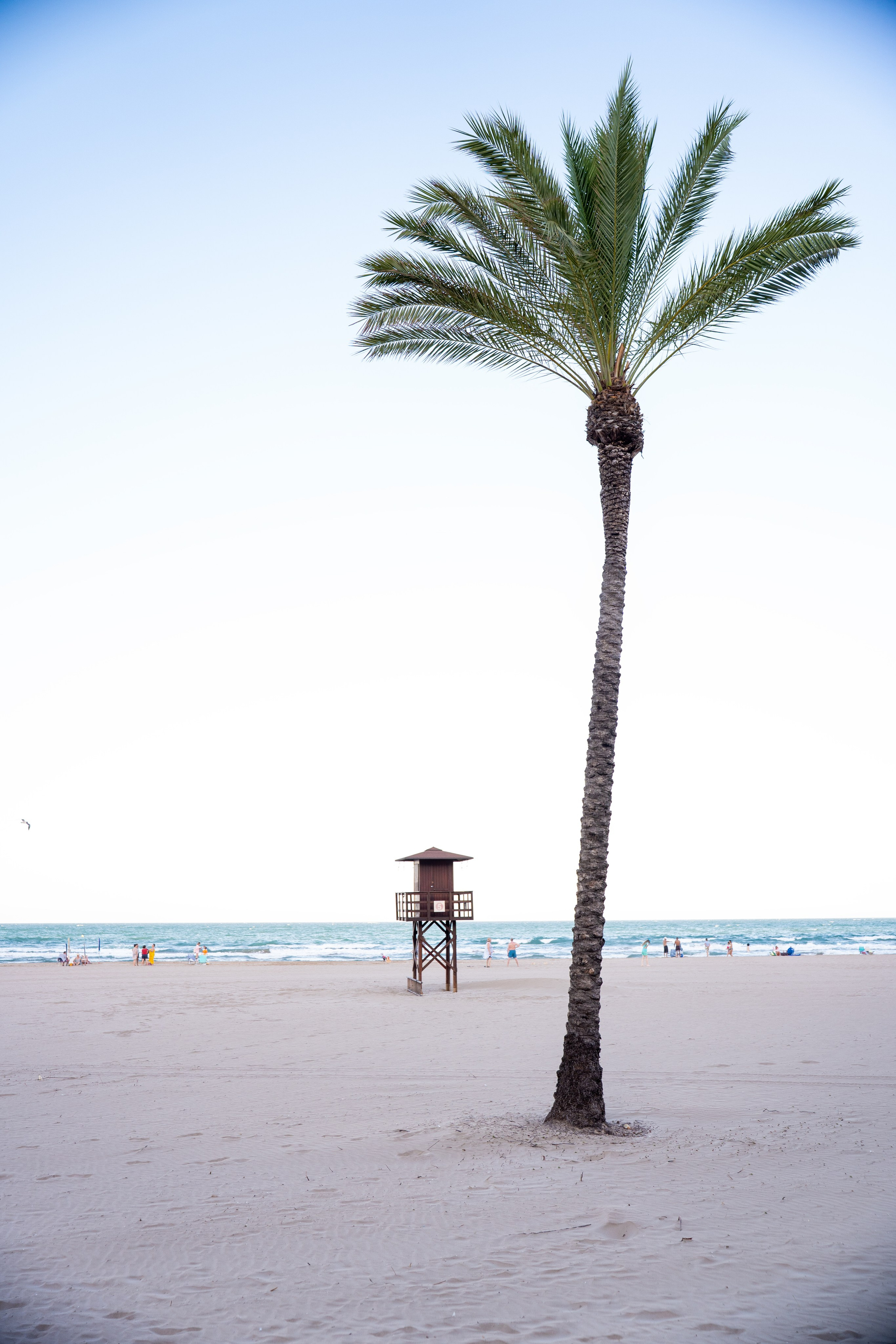 Gandia (Spania)