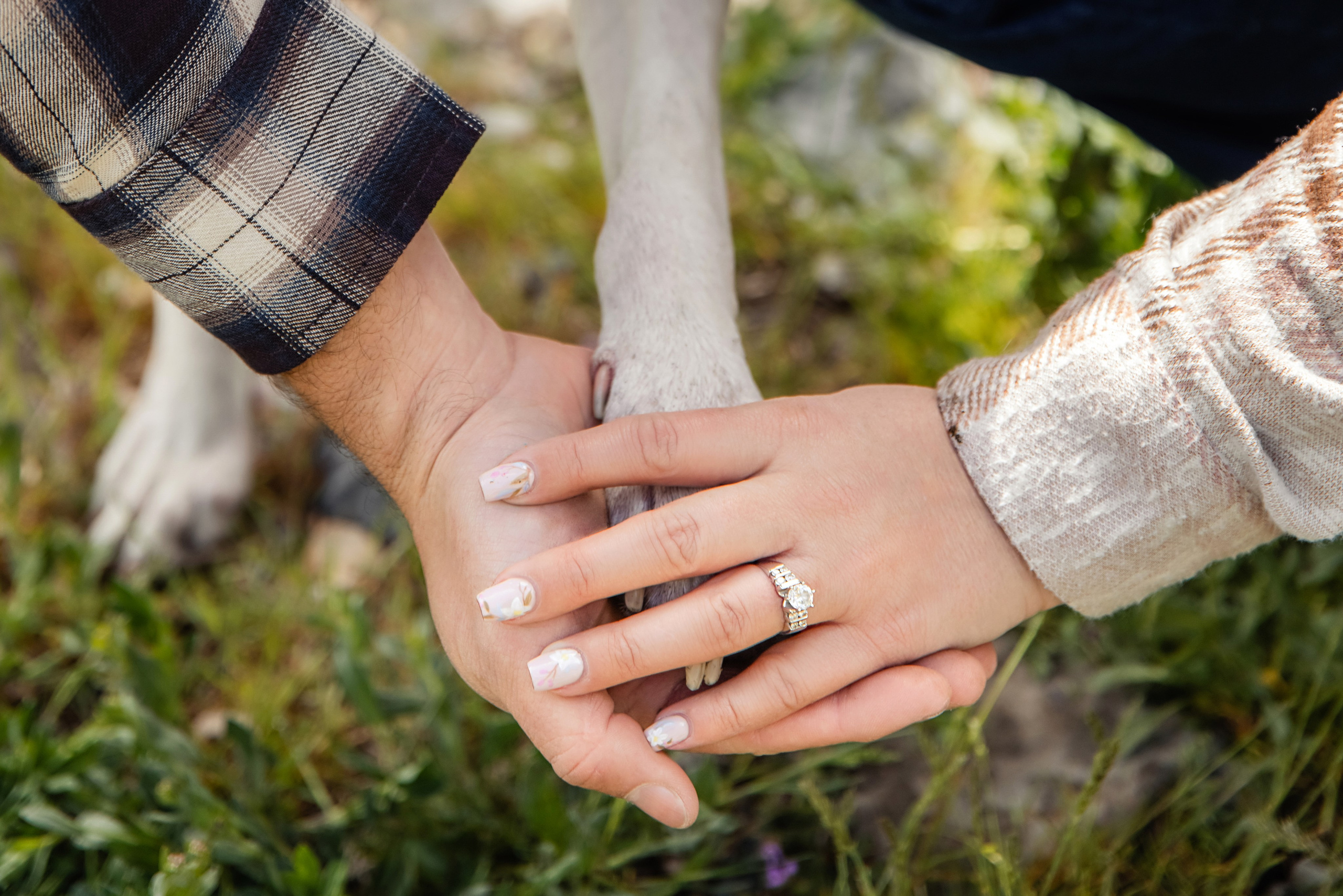 Engagements. Wedding photographer Utah. Weddings, Families, Portraits