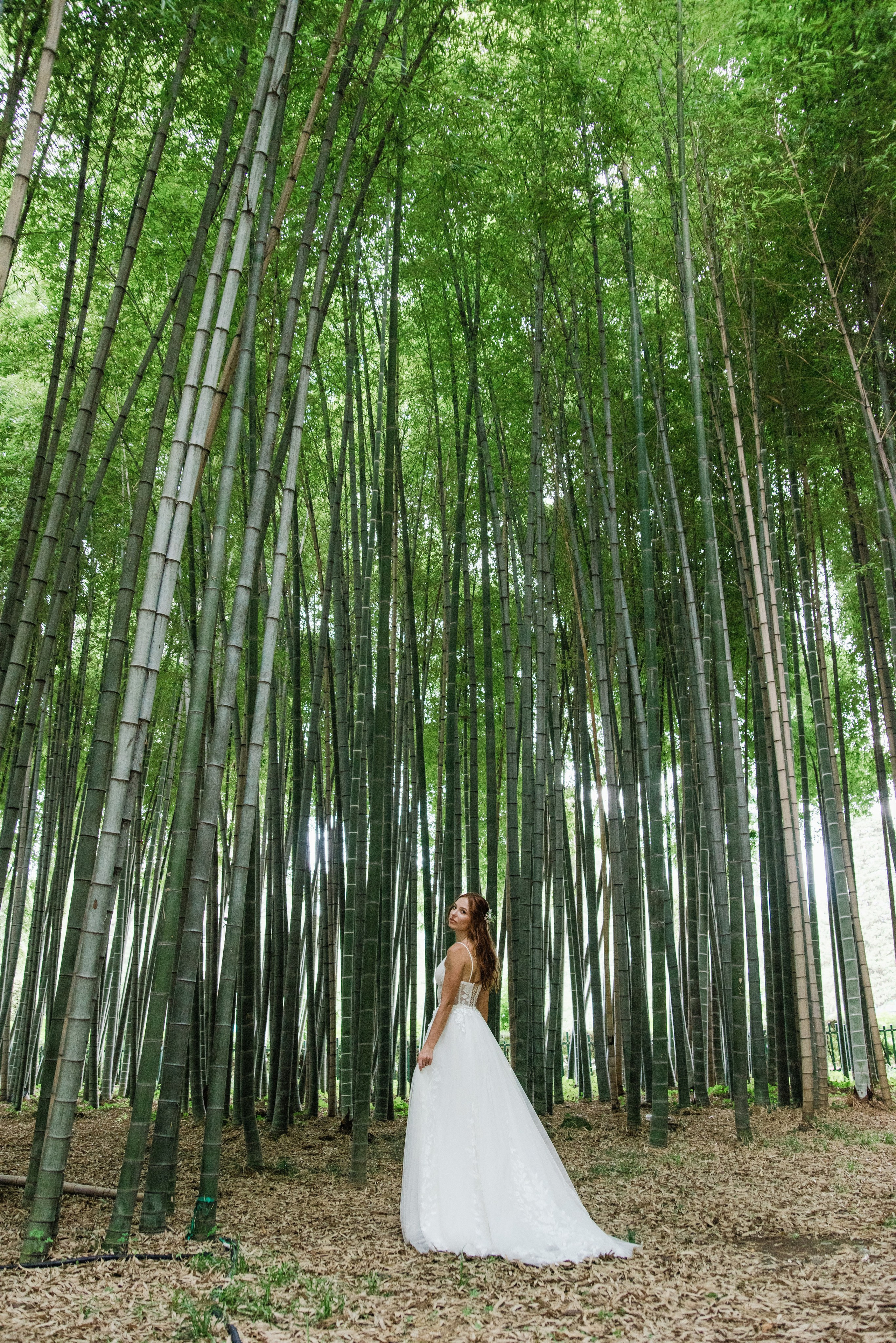 Свадьба в Батуми для пары из Великобритании. Свадебные фотографы в Грузии, Армении. Макс Коваленко и Лара Татосян. Свадебный видеограф