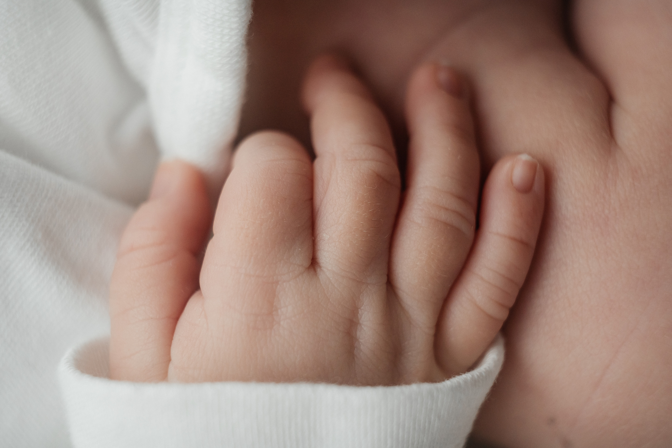 Fotografin Oberösterreich