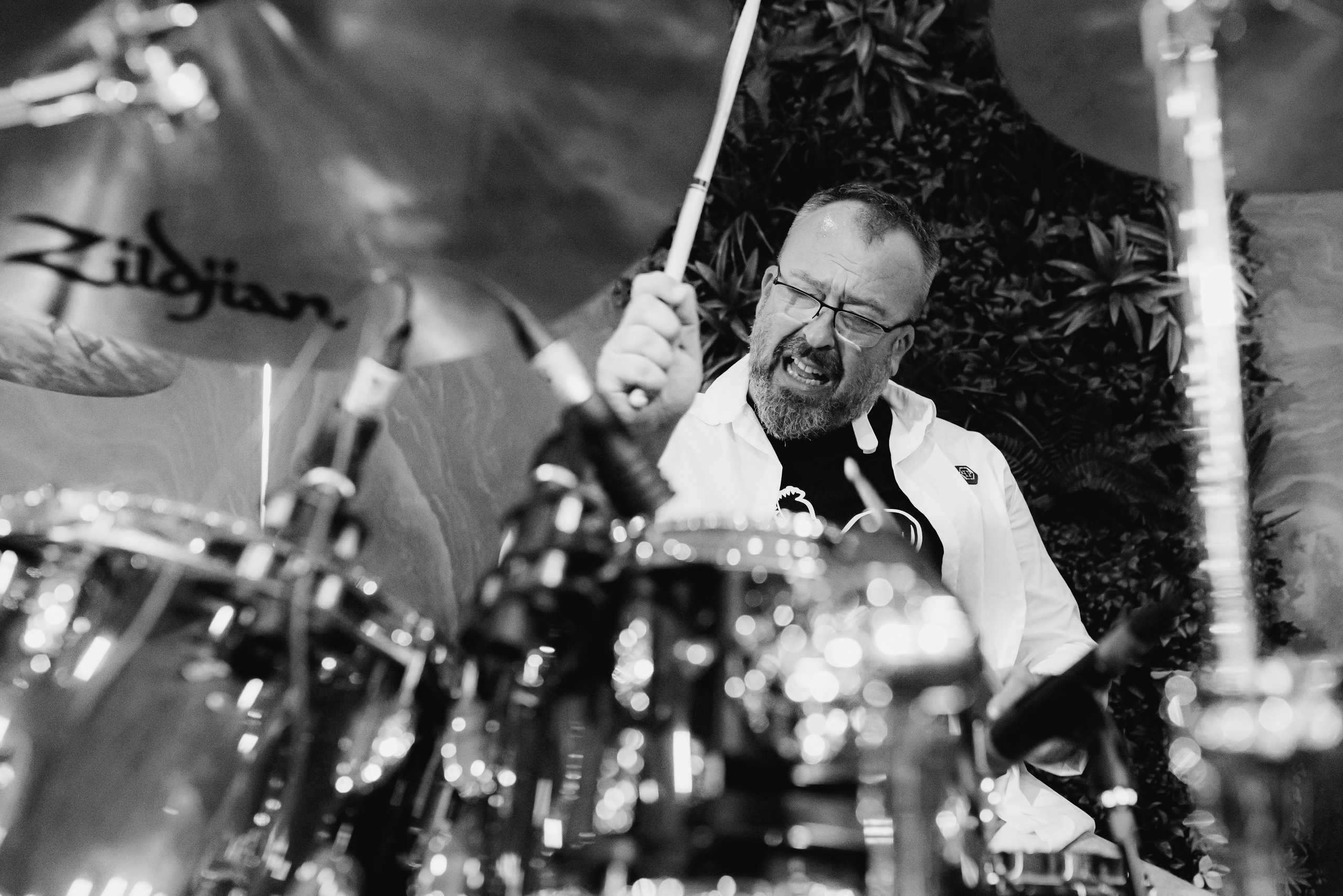 Roosters. Giani Maftei