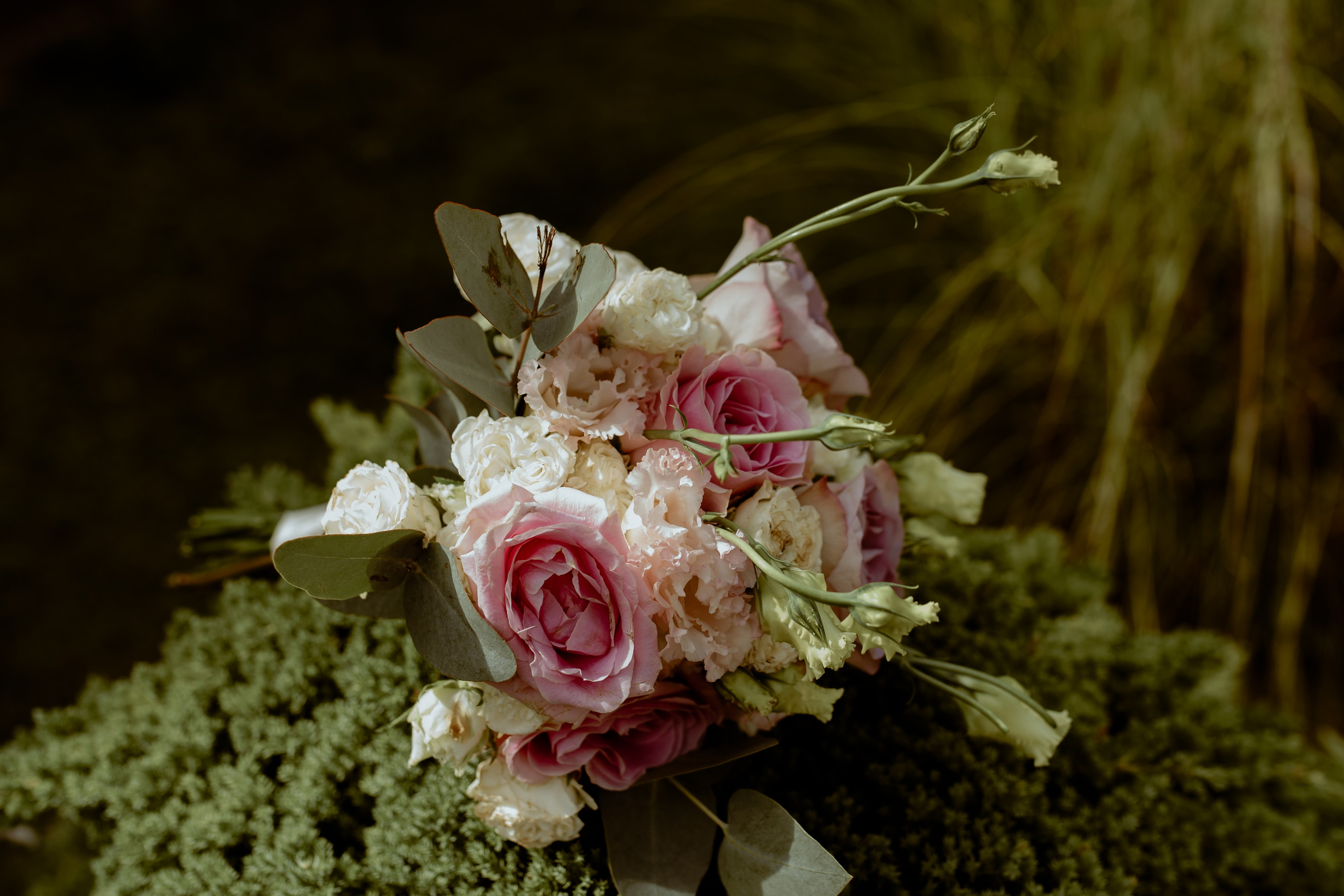 J&D. Wedding & Family photographer Jelena Anđelić