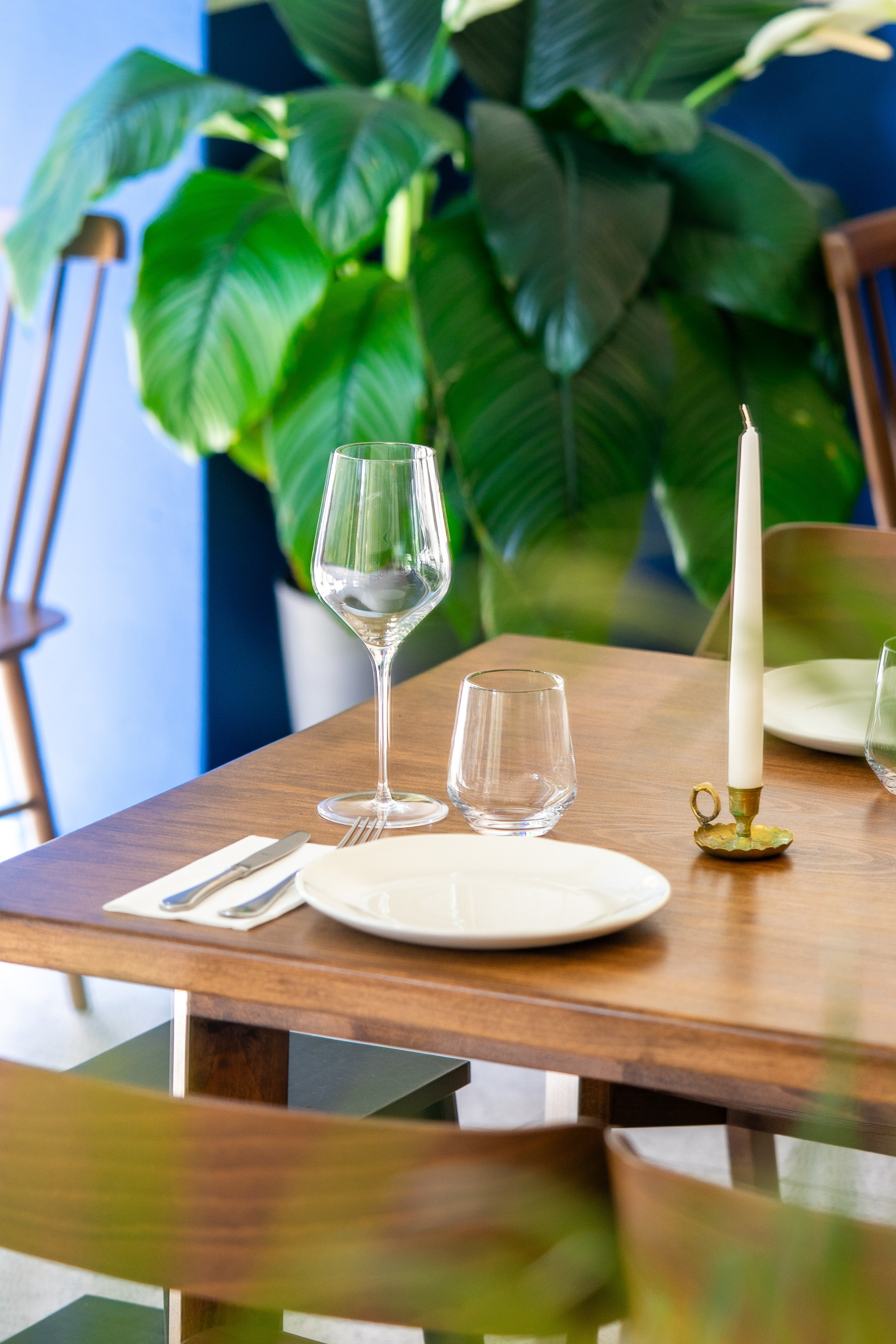 Borboleta. Мария Шер. Профессиональный фотограф в городе Порту, Португалия