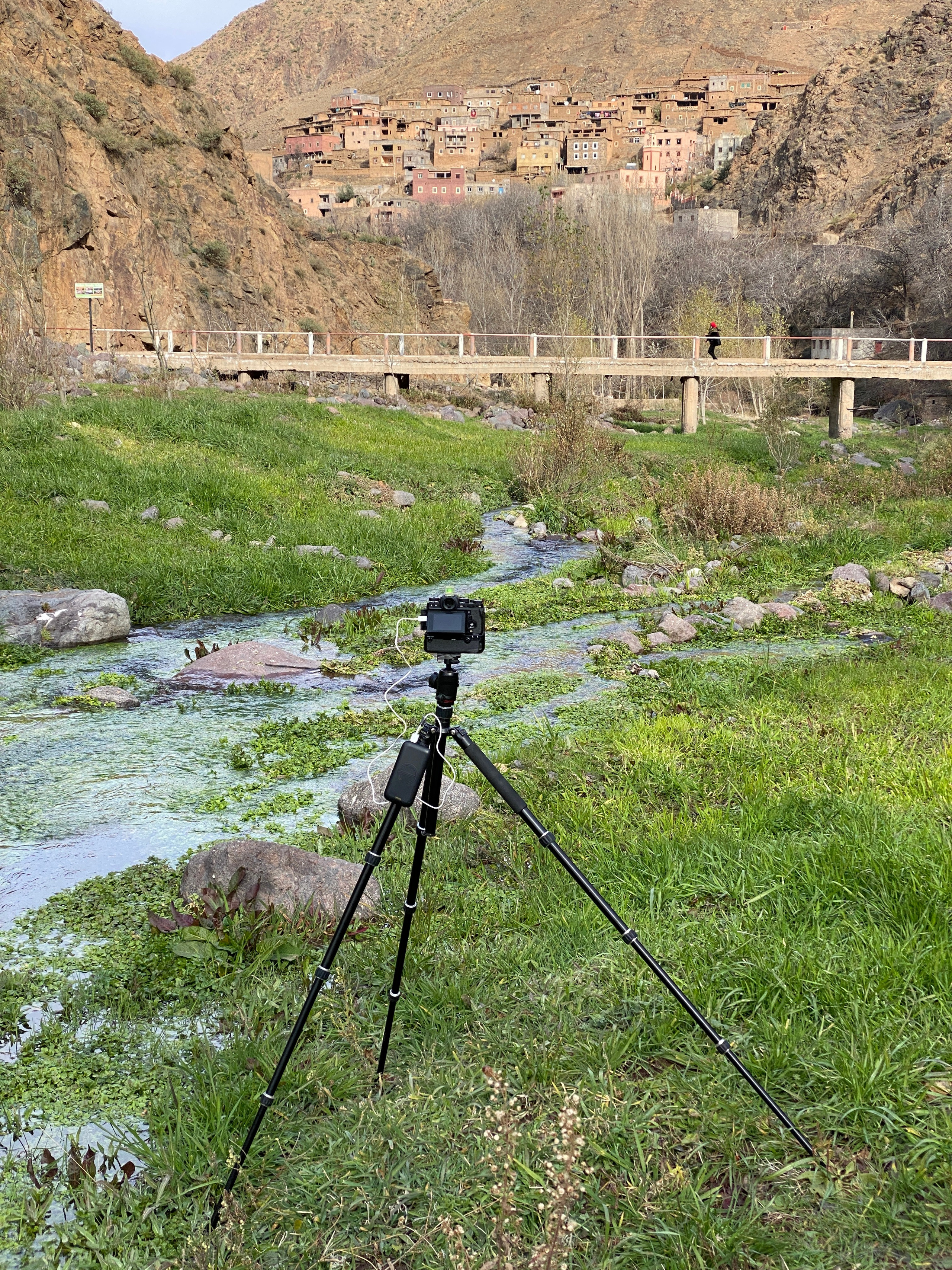 Предложения. Брахим — фотограф